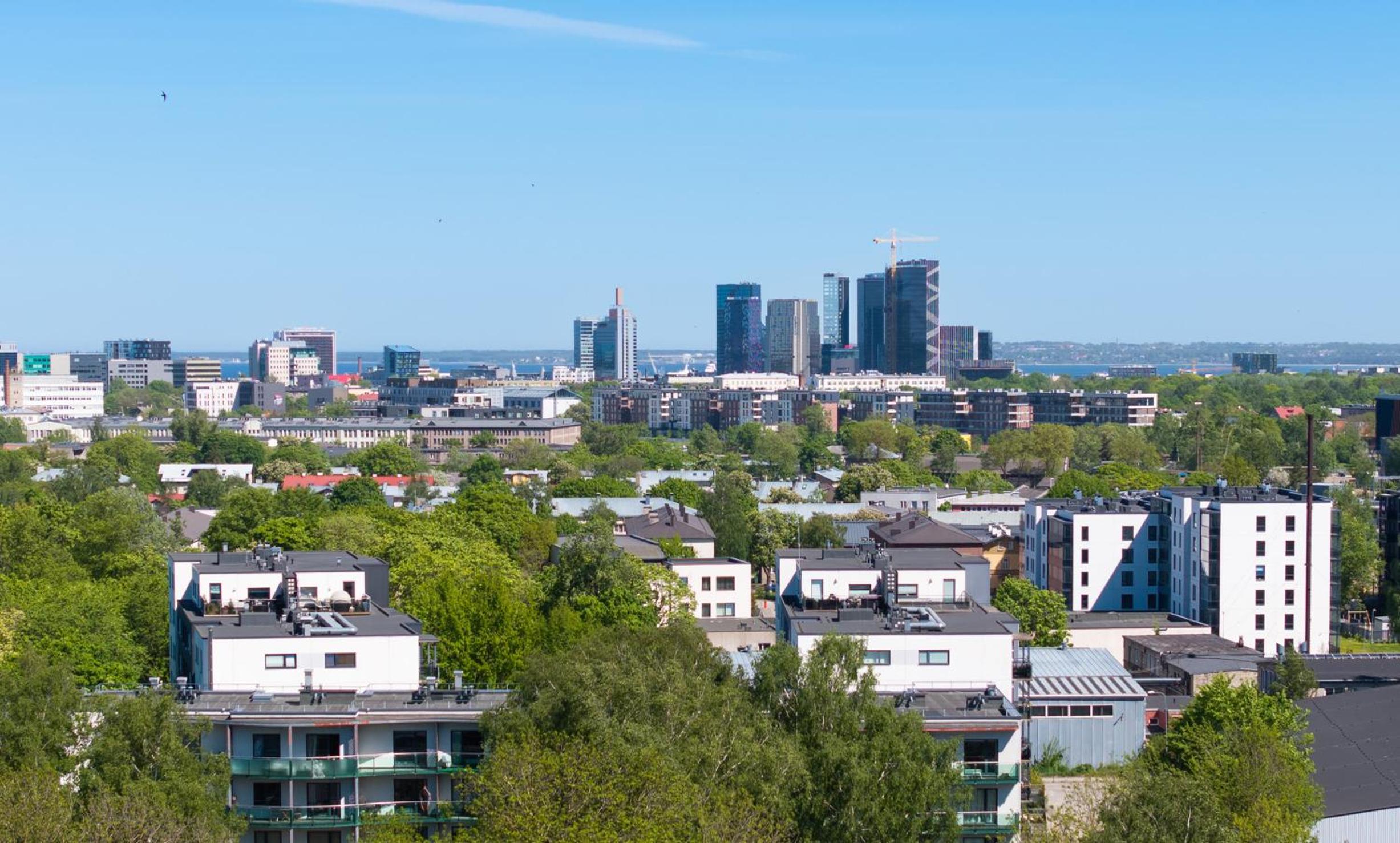 Revalia Vektor Fantastic View Apartment