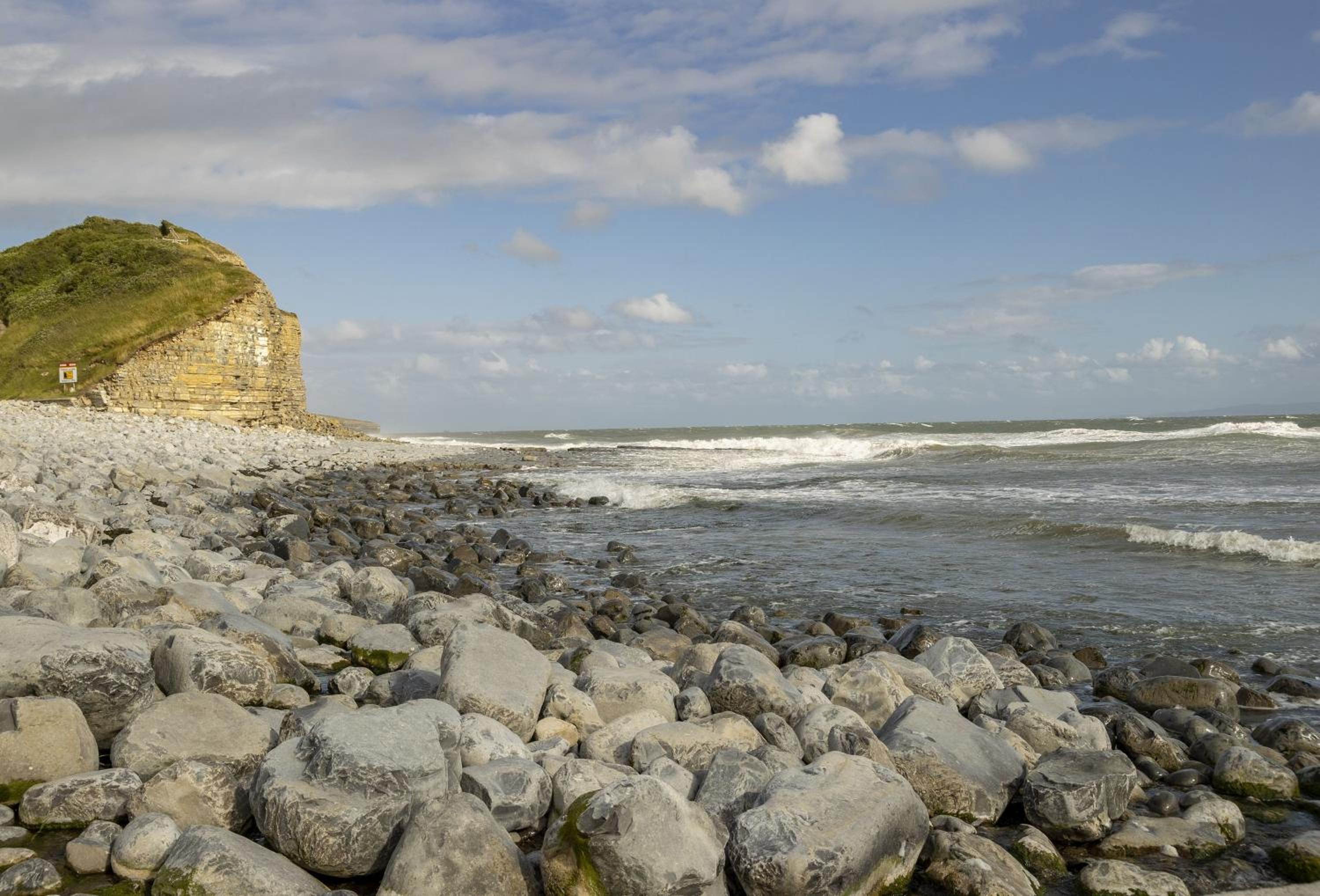 Stella