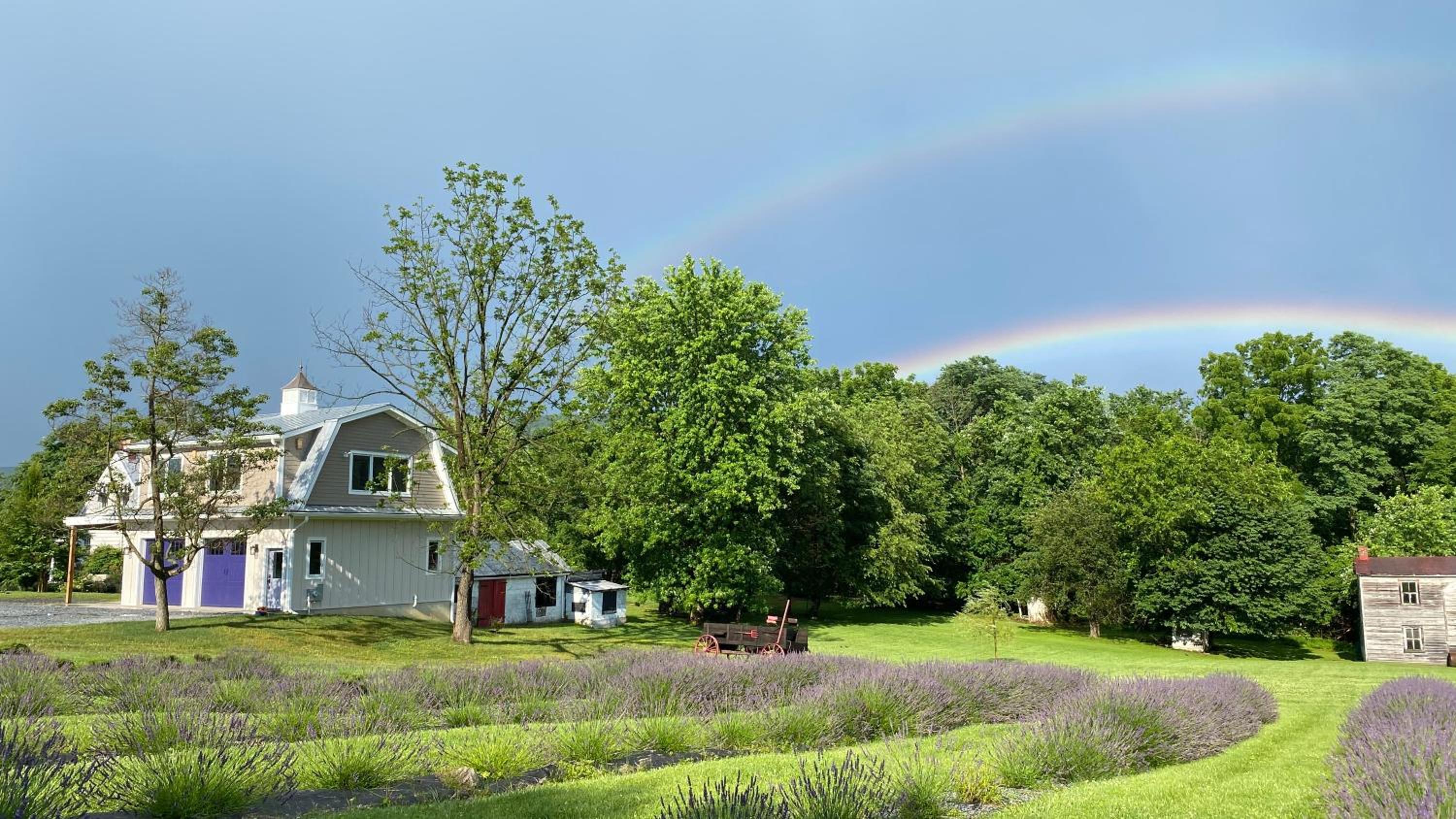 La Soledad Lavender Farm and Guesthouse