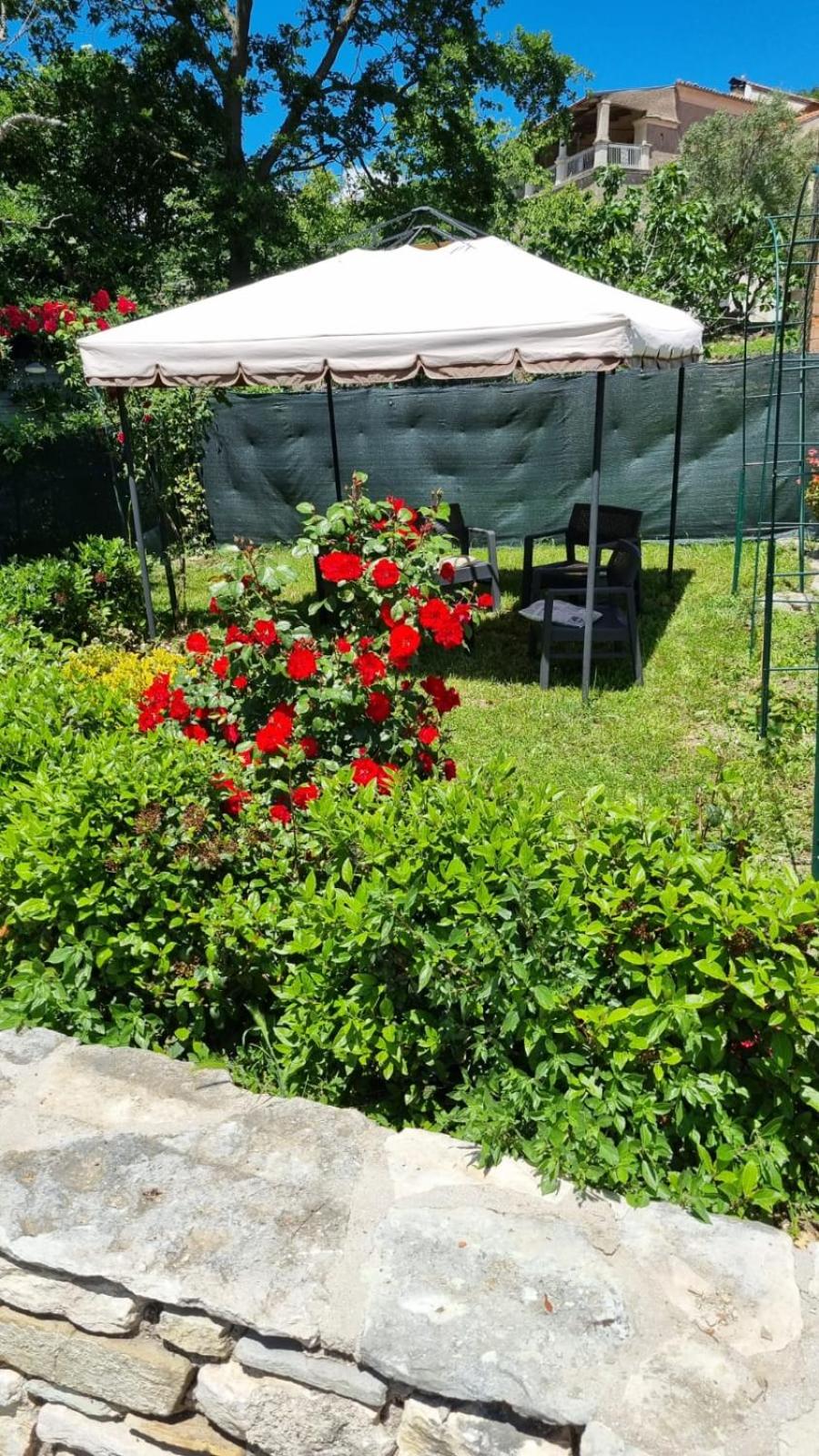 L'angolo fiorito view 5