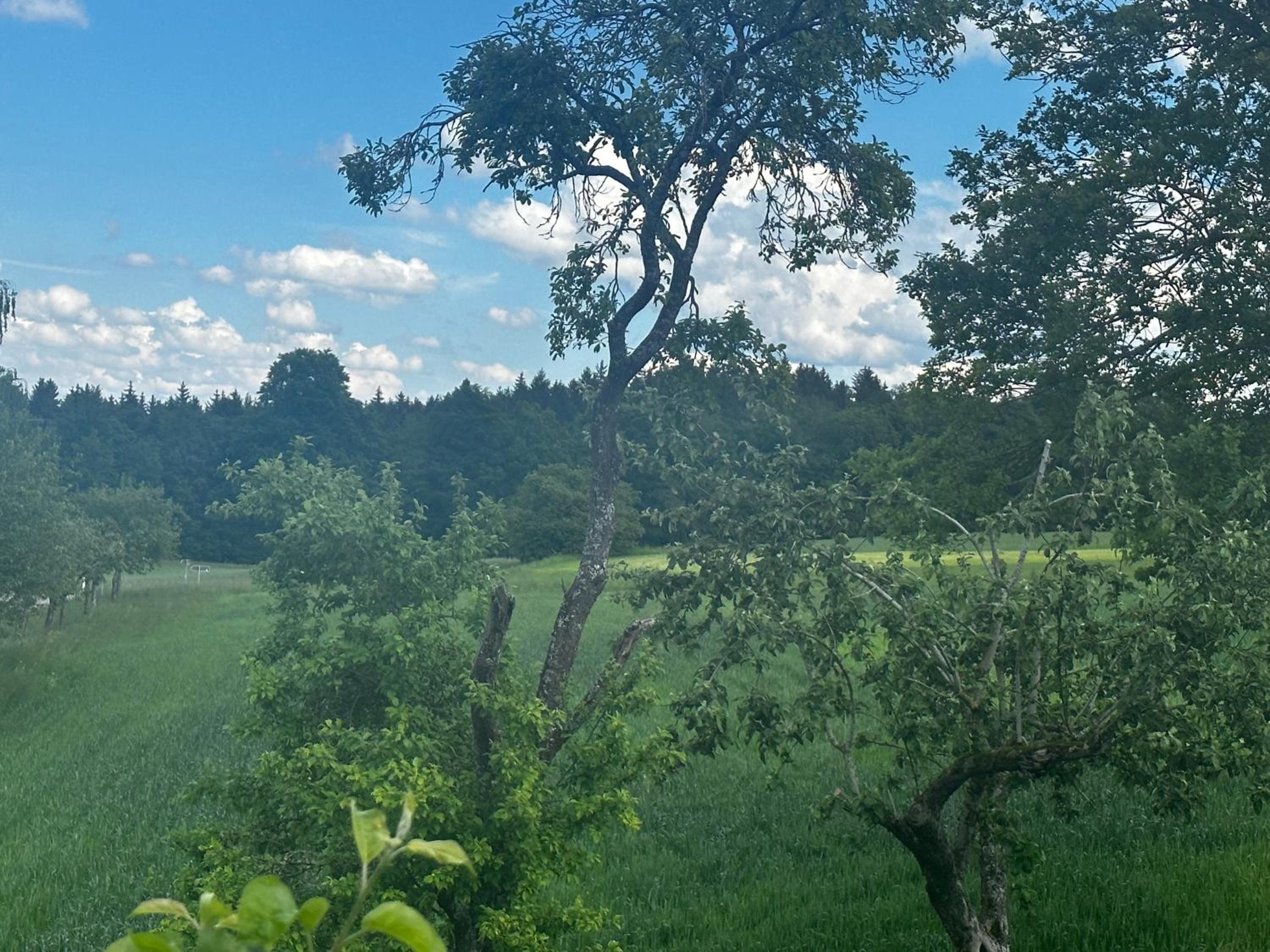 Ferienunterkunft Schwäbischer Wald