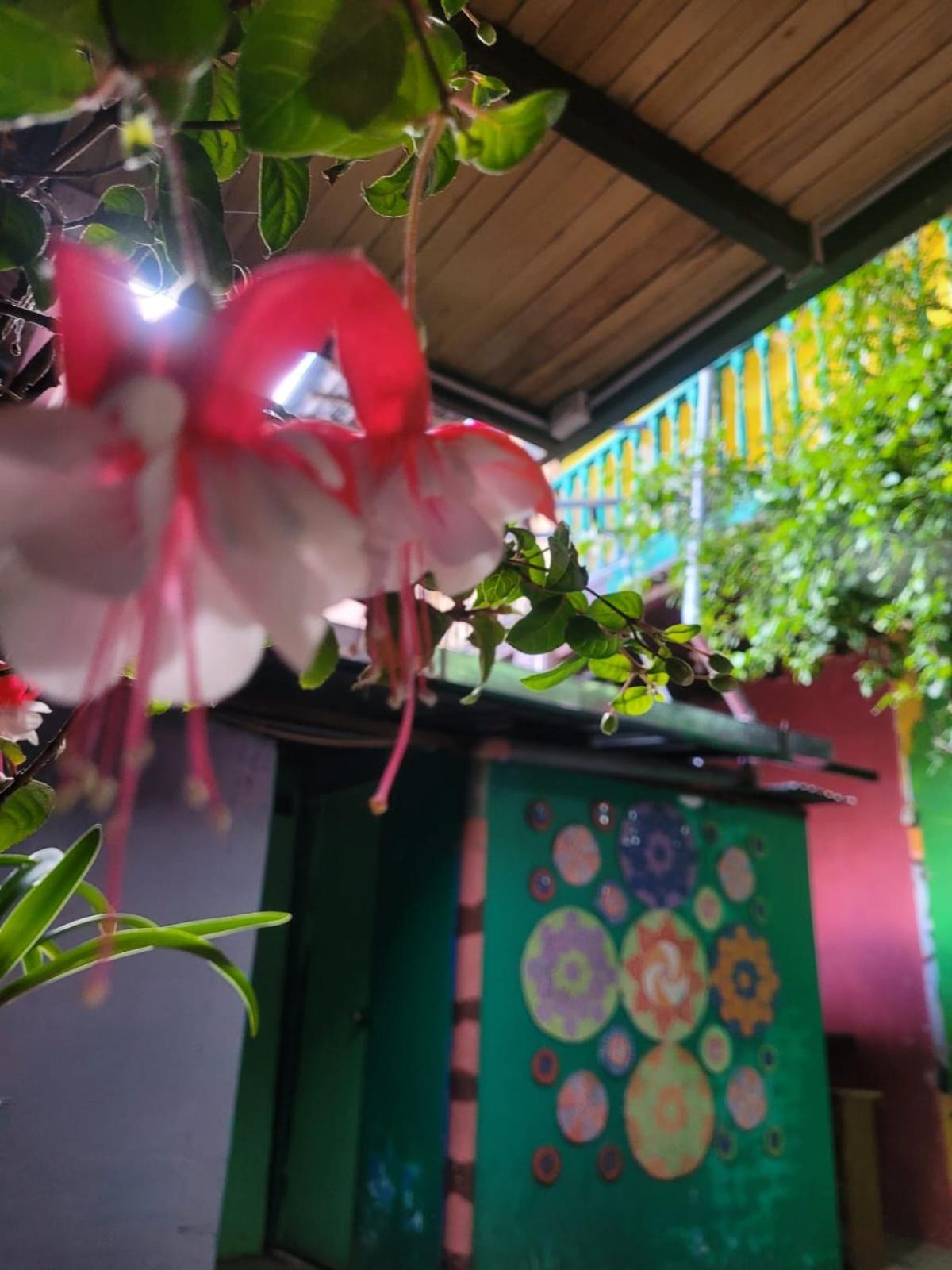 NOX Hostel Backpacker Cajamarca