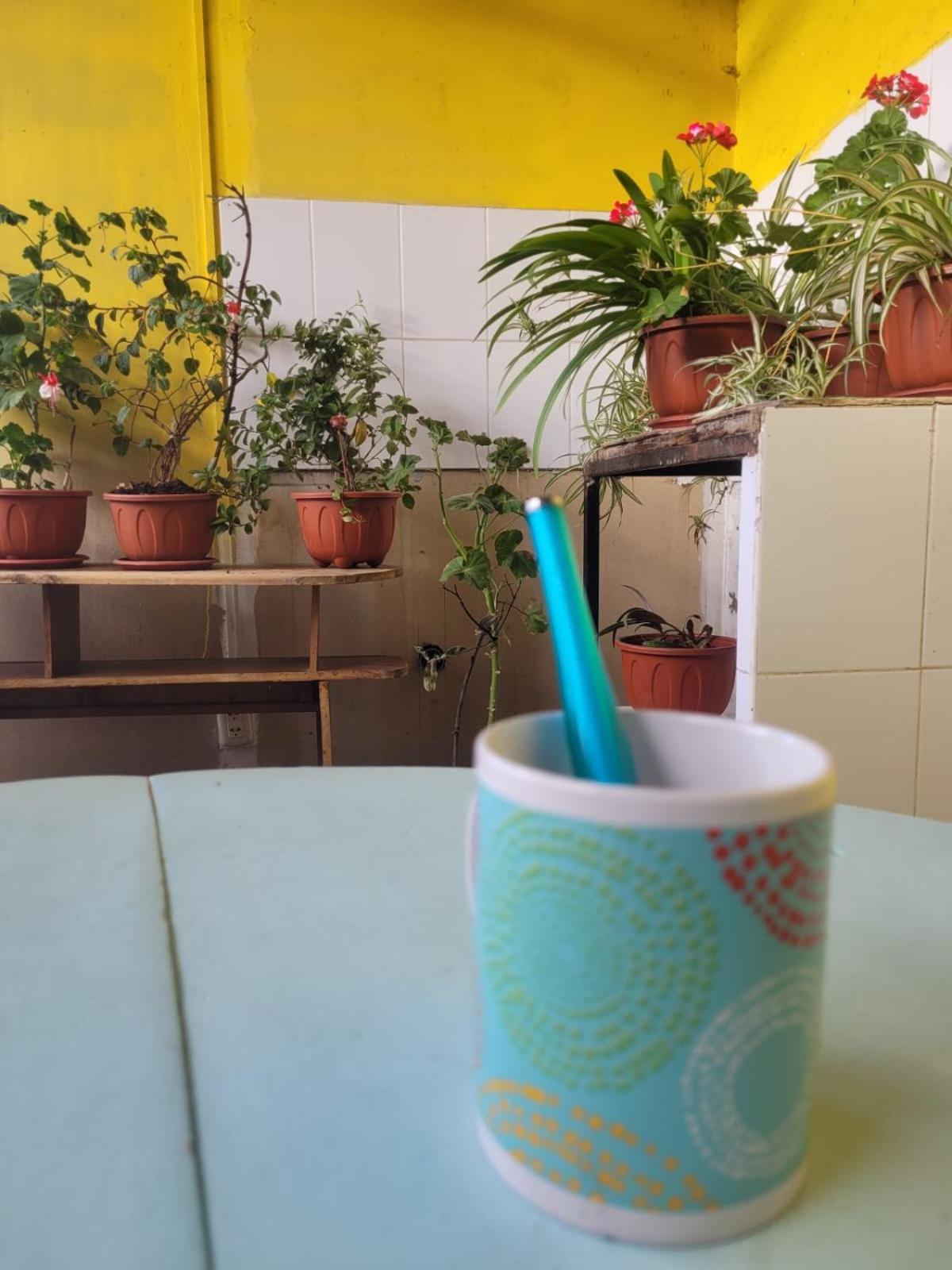NOX Hostel Backpacker Cajamarca
