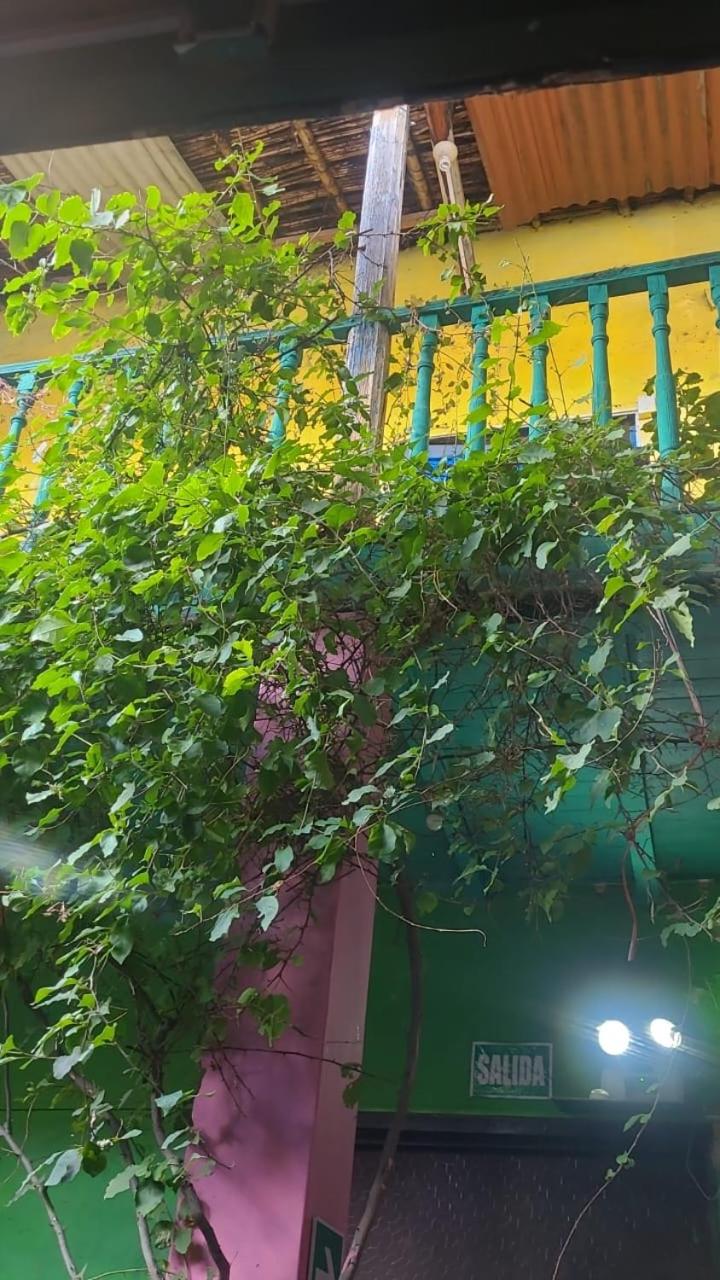 NOX Hostel Backpacker Cajamarca