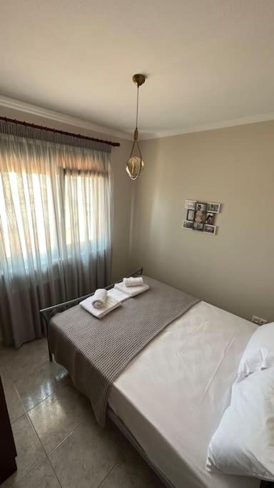 Proluxe Apartments photo 2