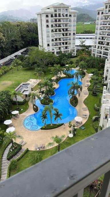 Condo Amapola