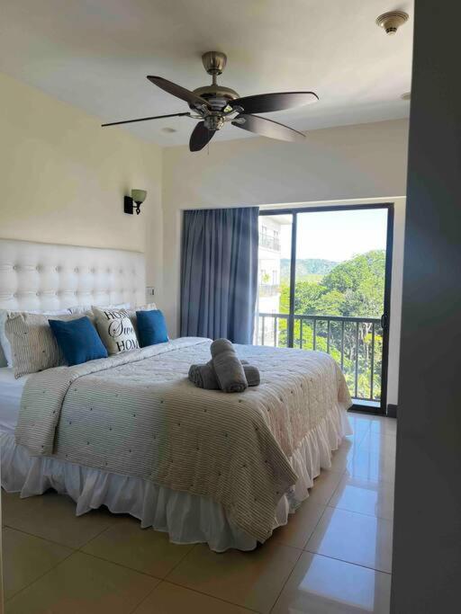 Condo Amapola