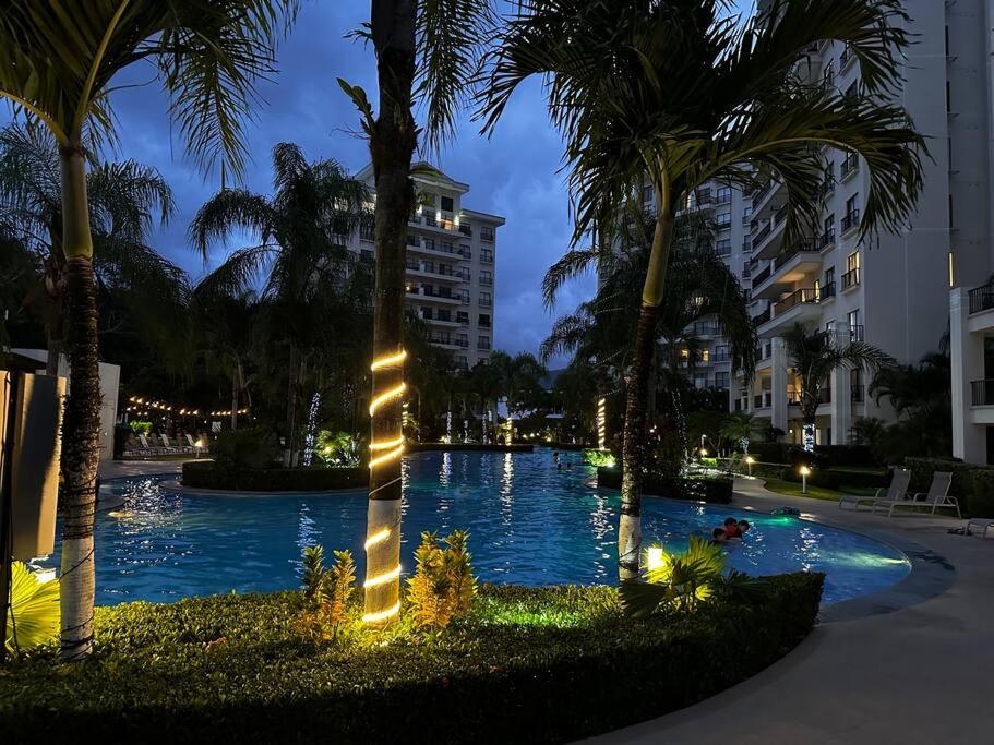 Condo Amapola