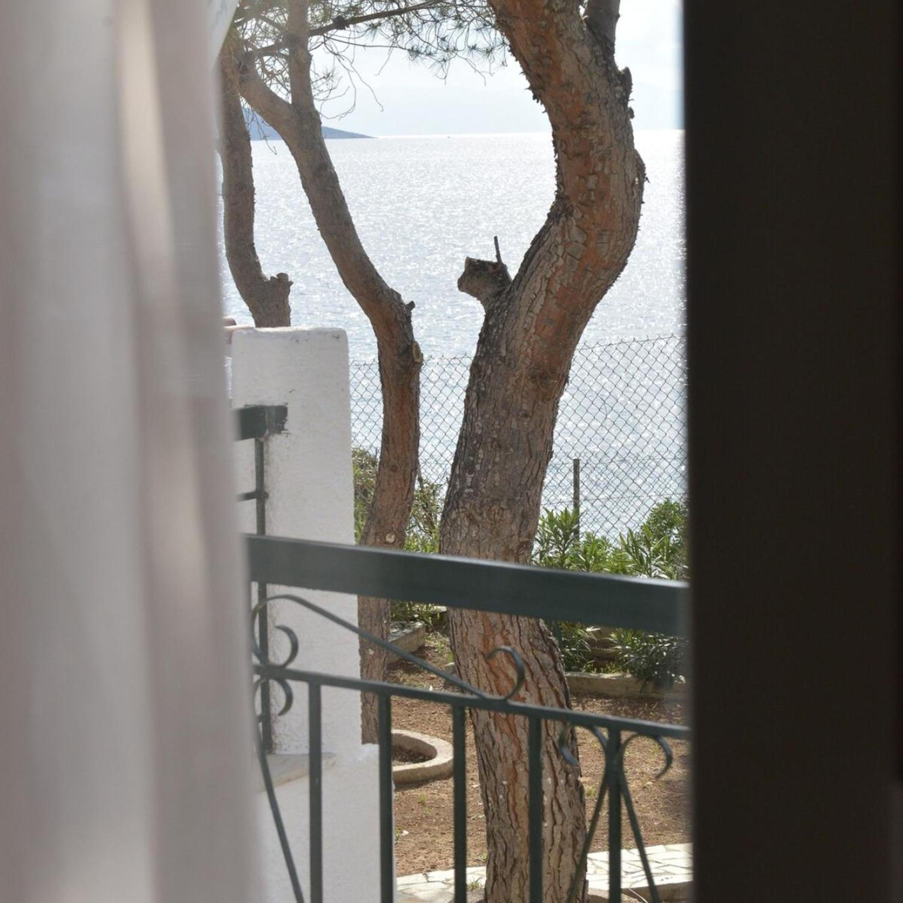 Salamis Beachfront House