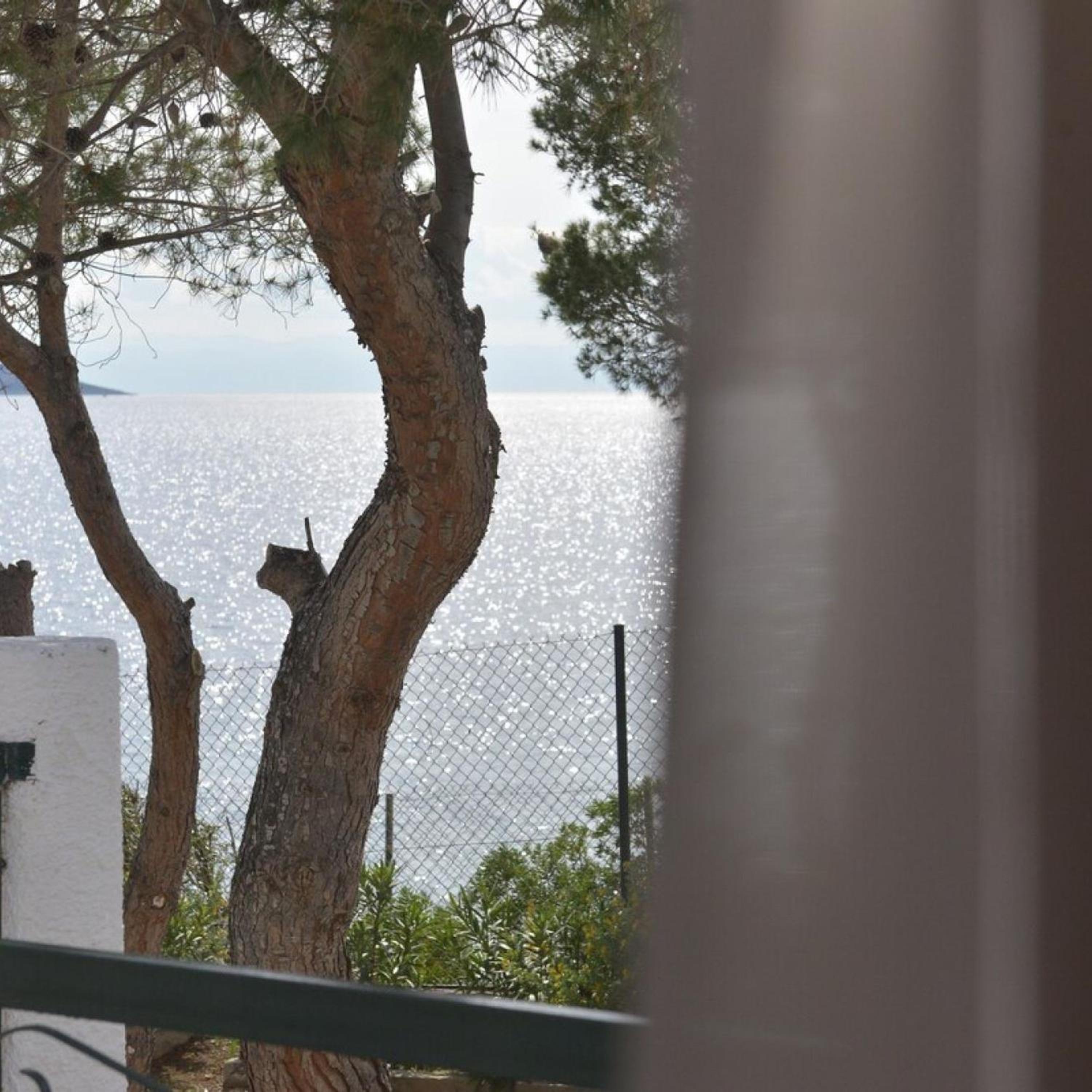 Salamis Beachfront House