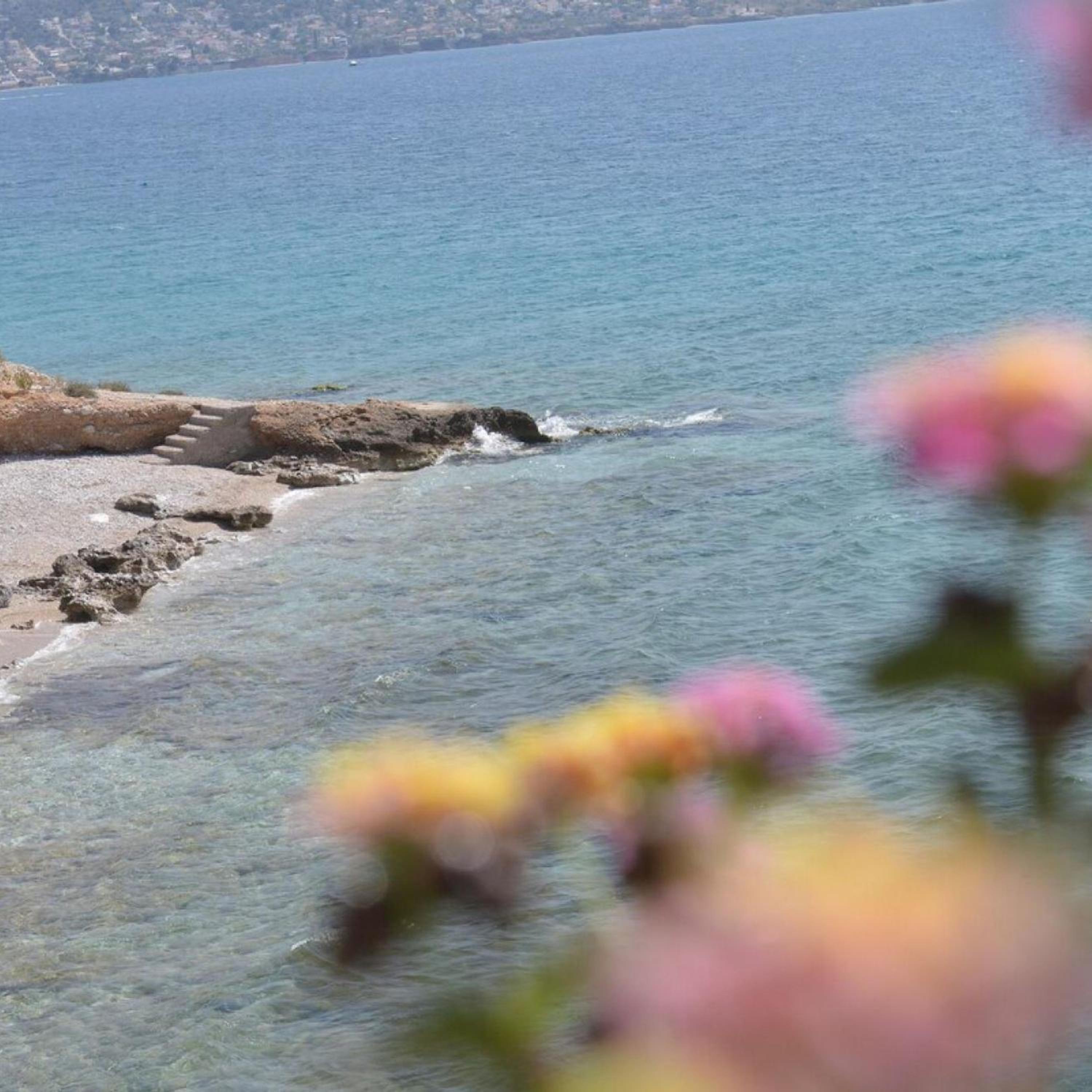 Salamis Beachfront House