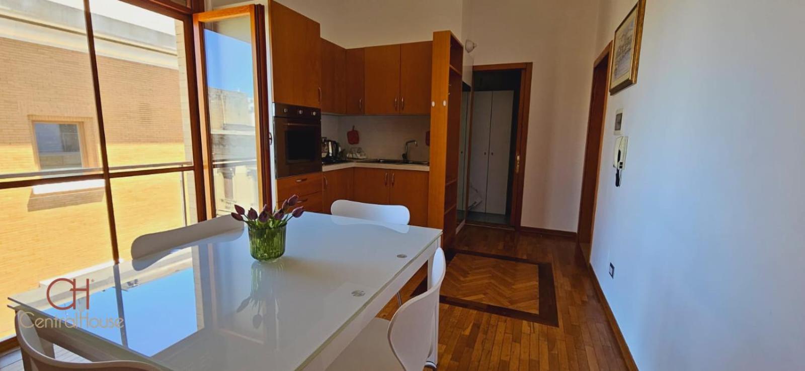 Central House Light Apartment view 5