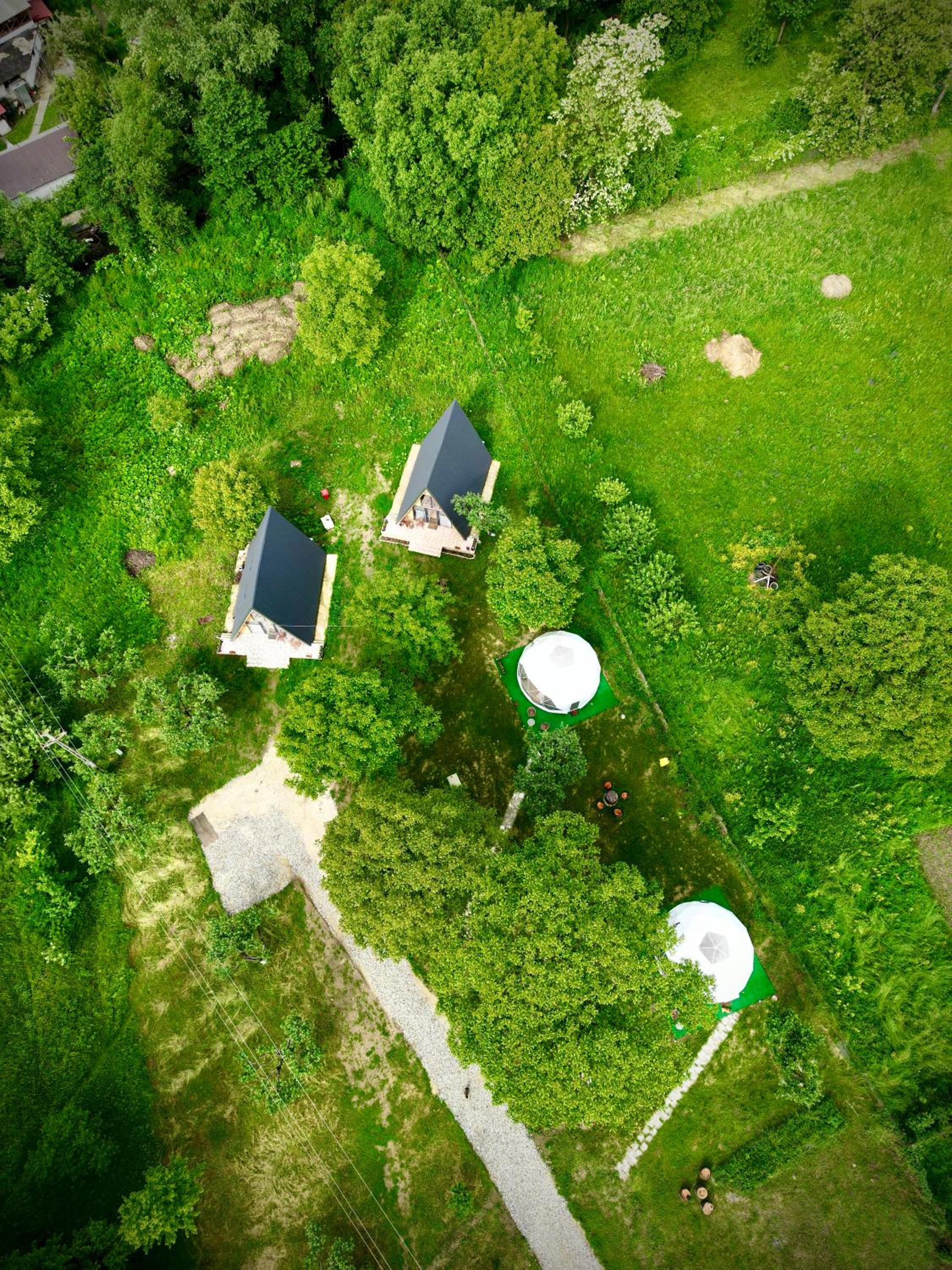 The Frog Glamping view 2