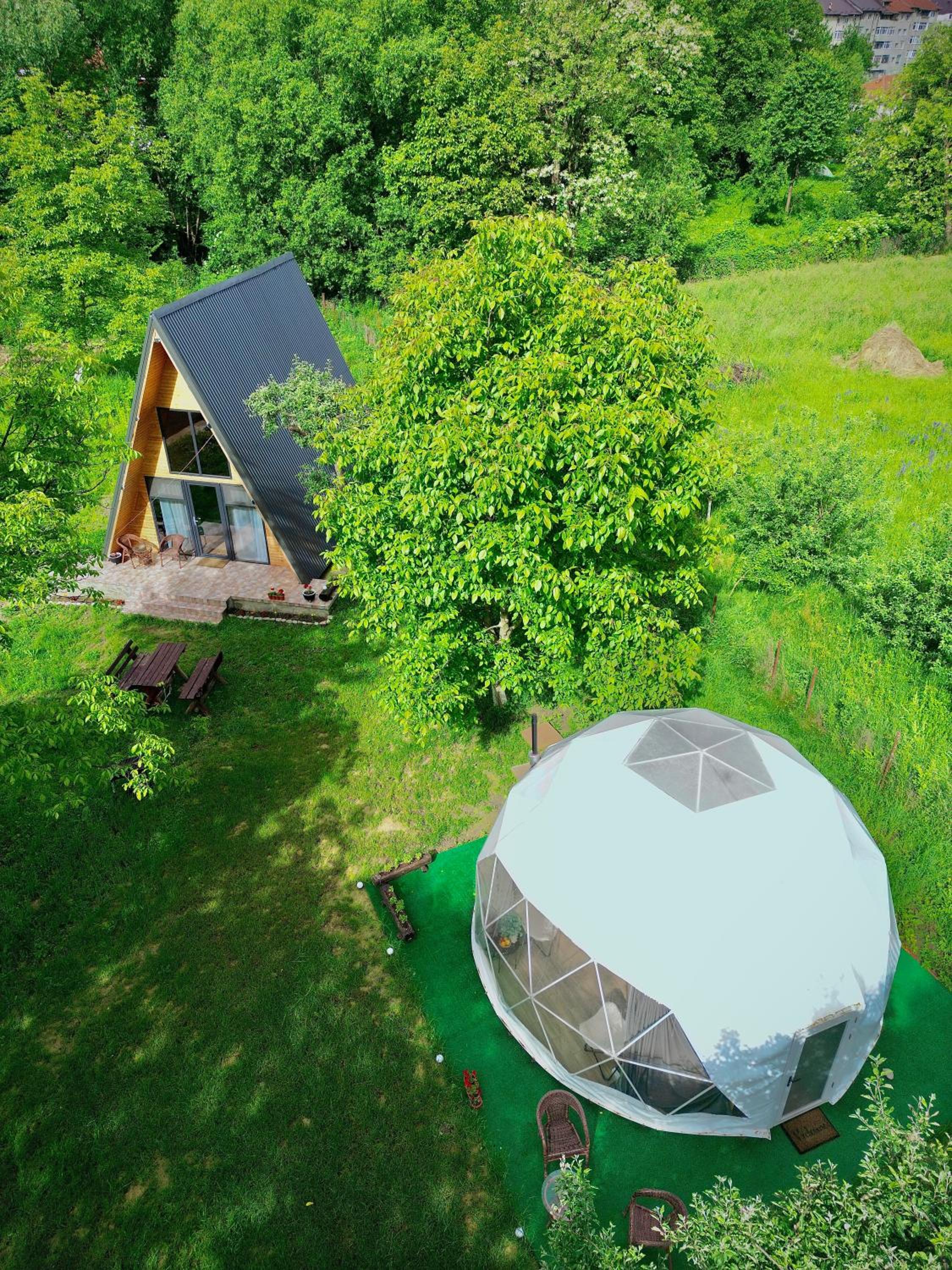 The Frog Glamping view 3
