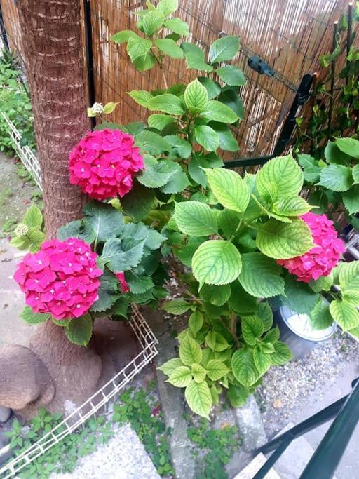 other