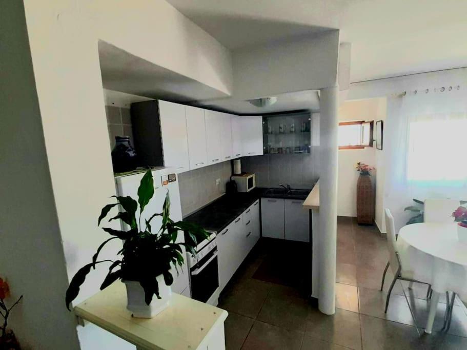 Apartment Ines