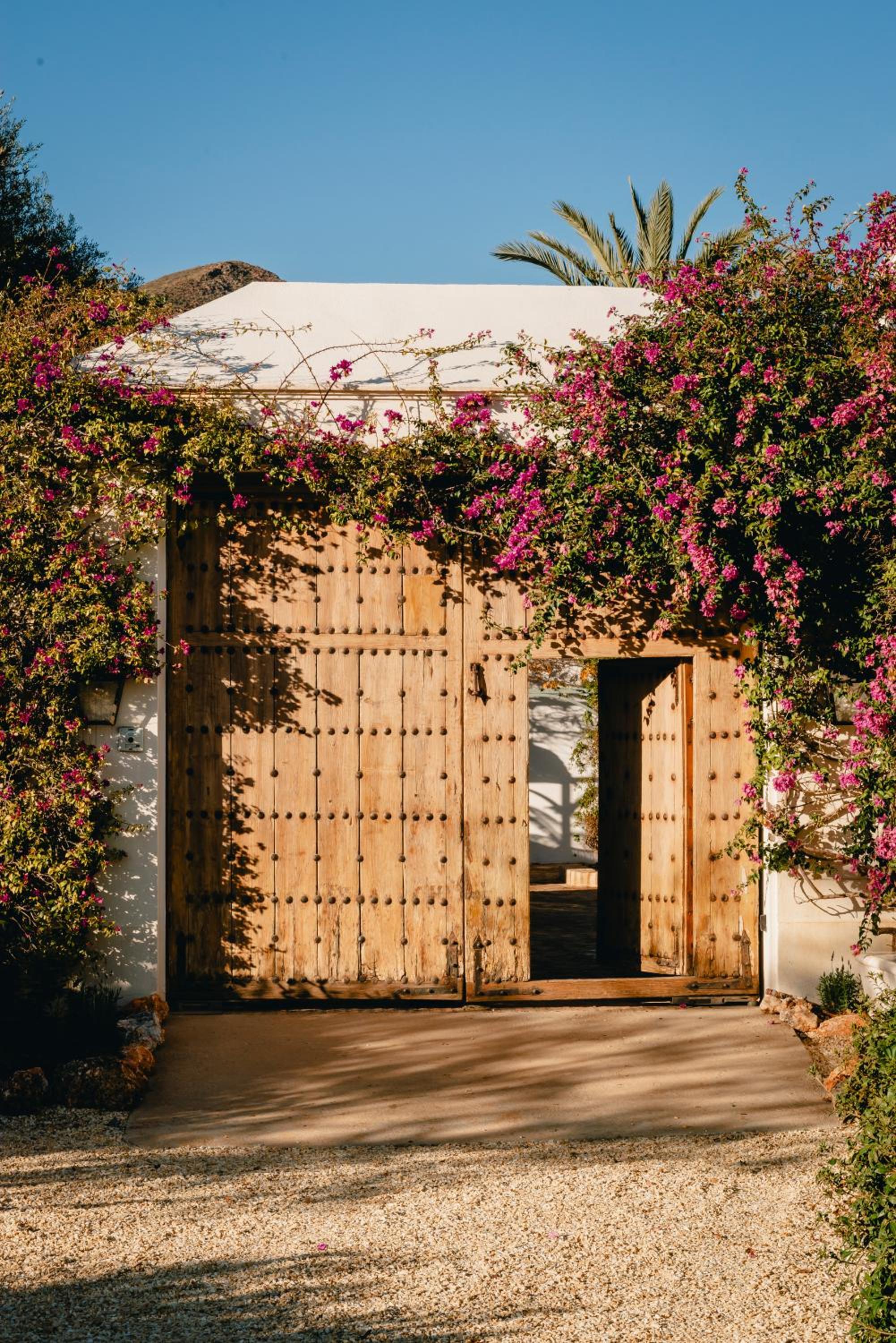 Viluz - Wellbeing Resort Marbella