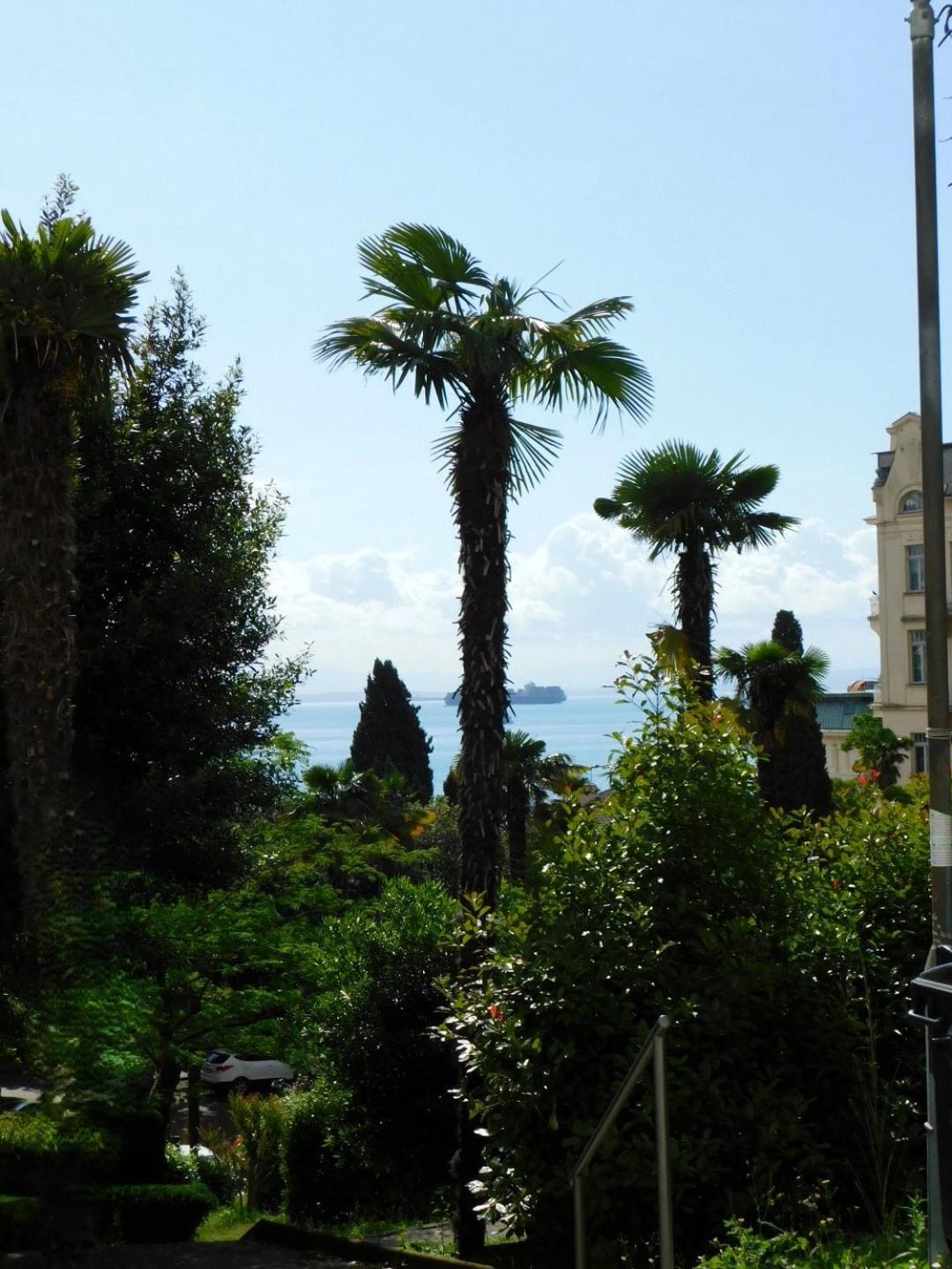 Fina Apartment