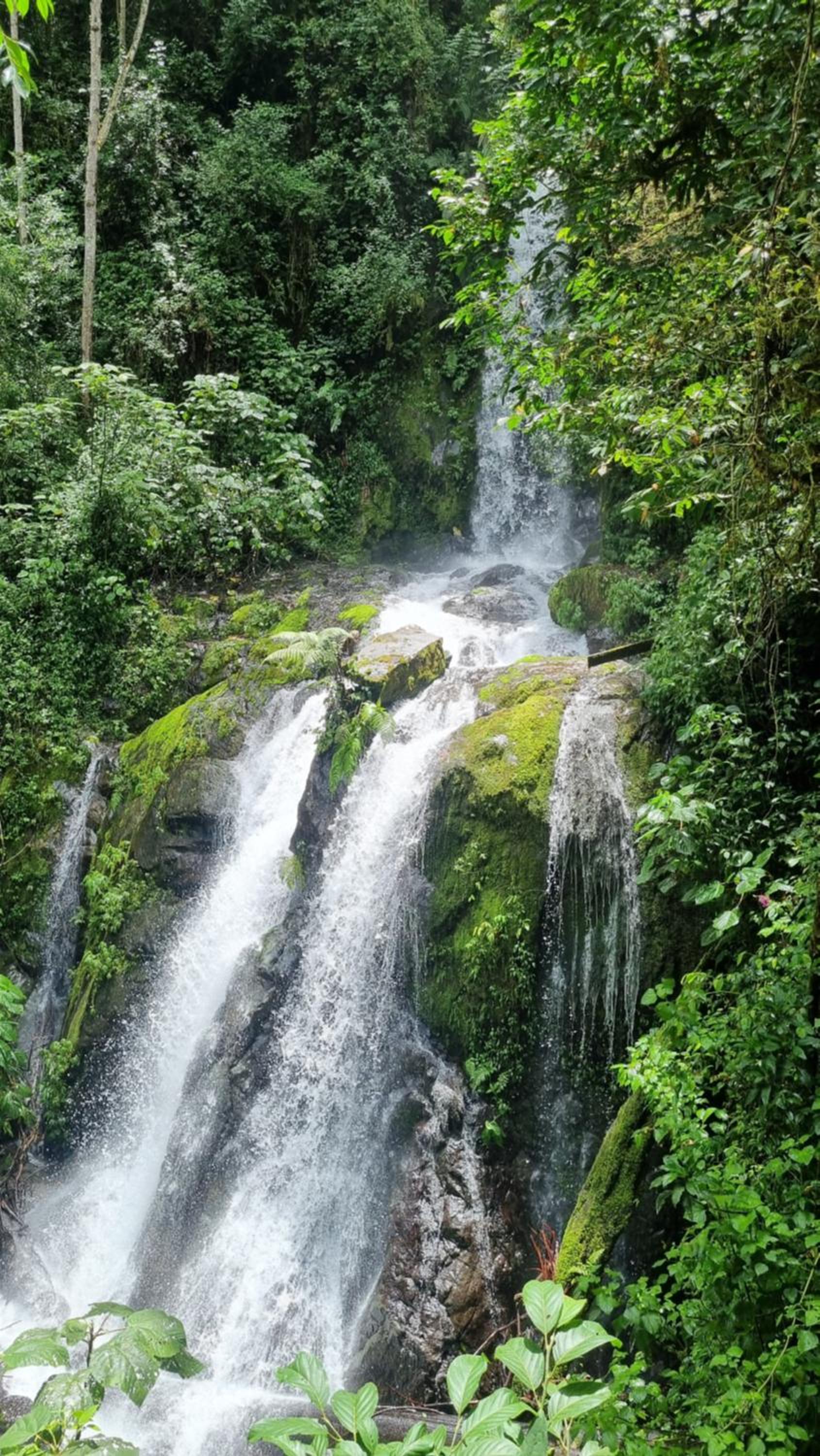 Cabina Corcovado Gittana Tours