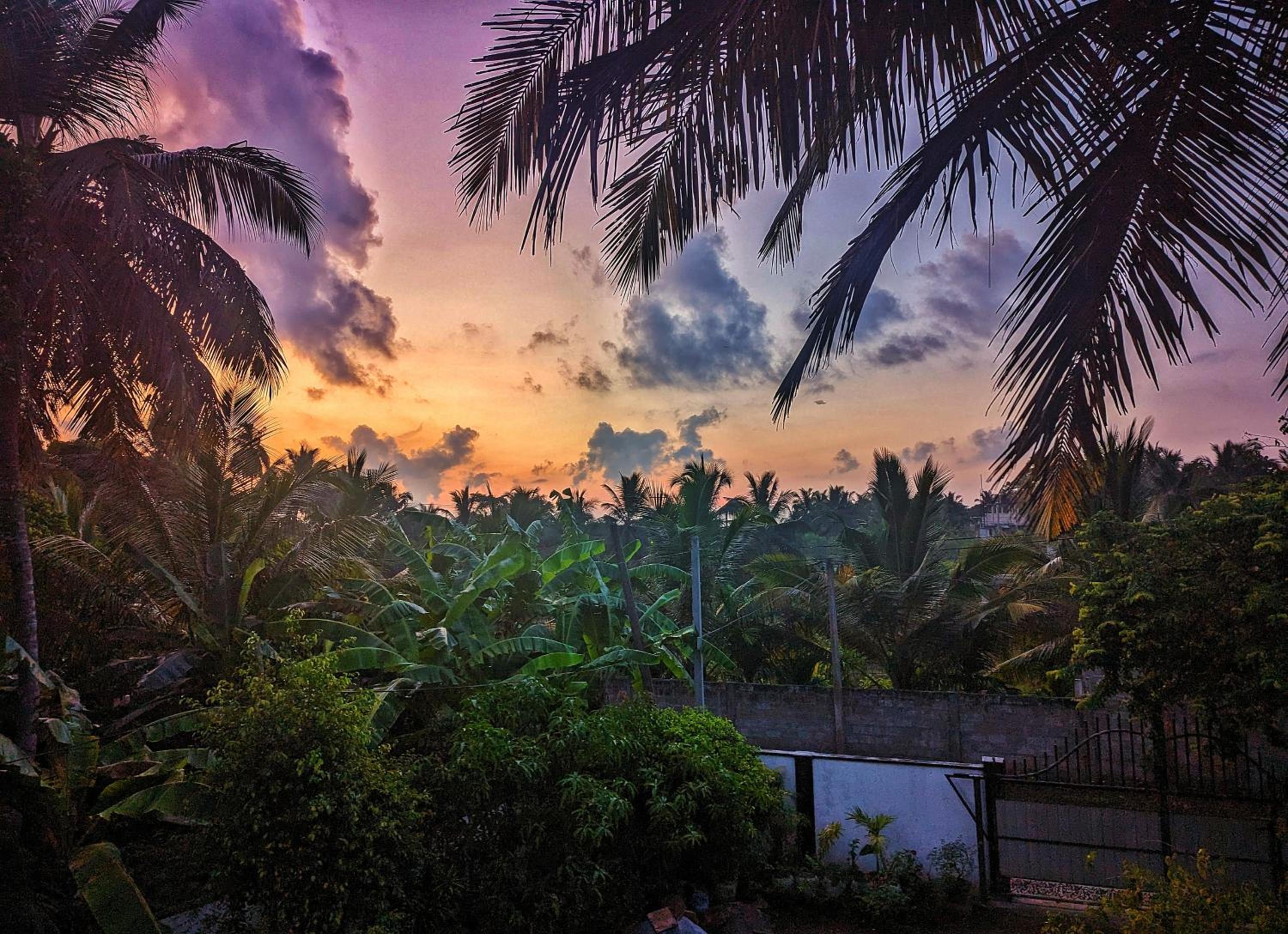 Nelundeniya Resort