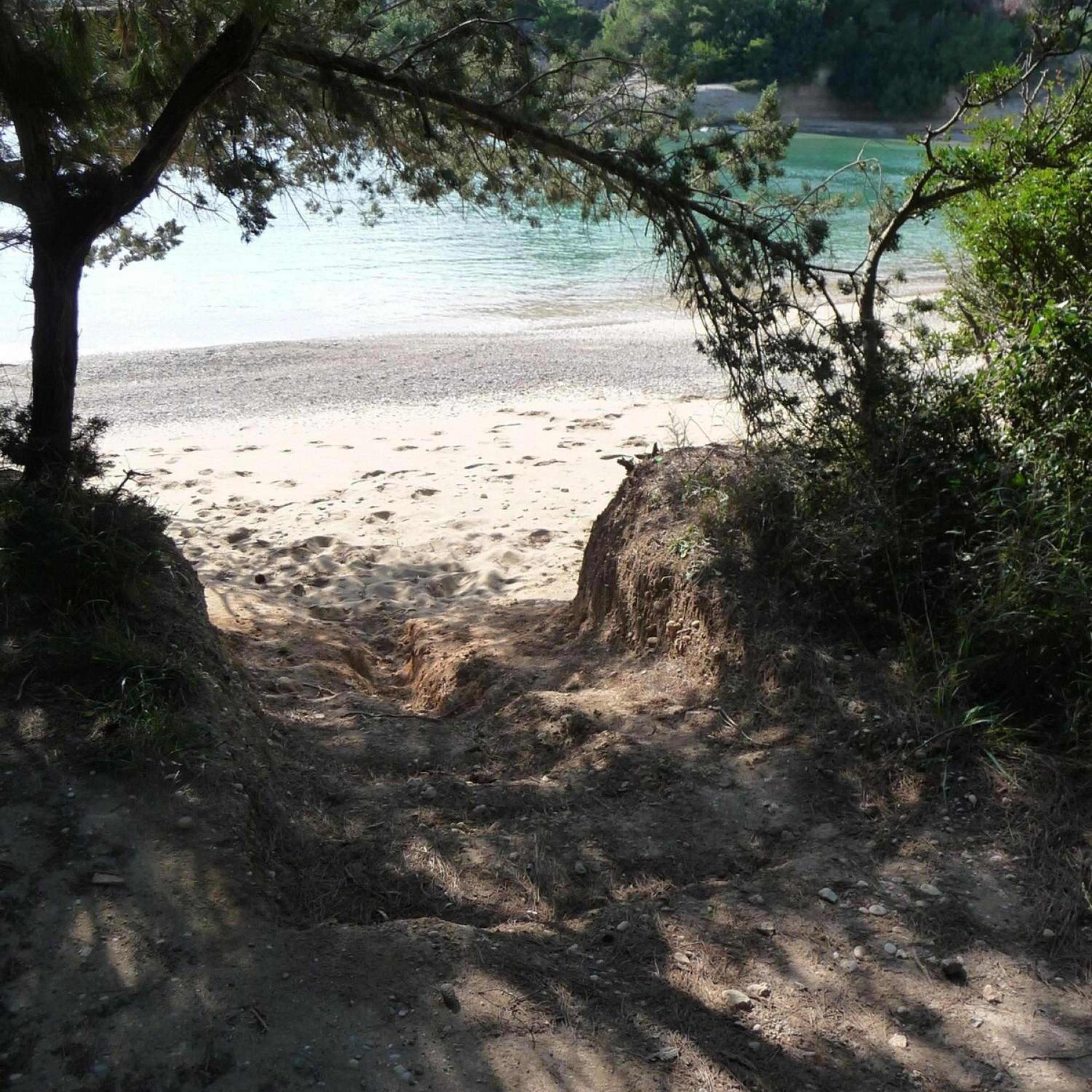 Photo 43