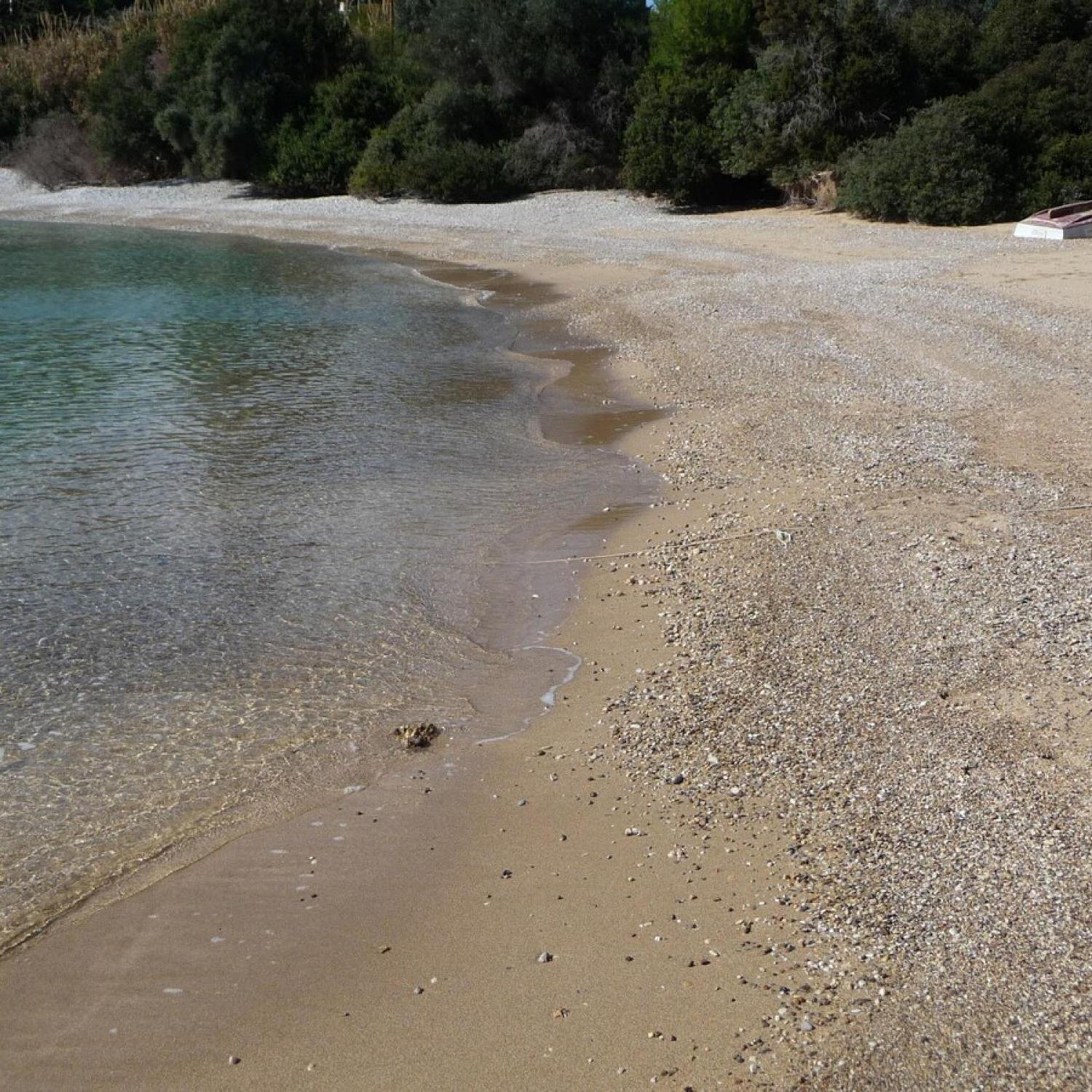 Photo 45