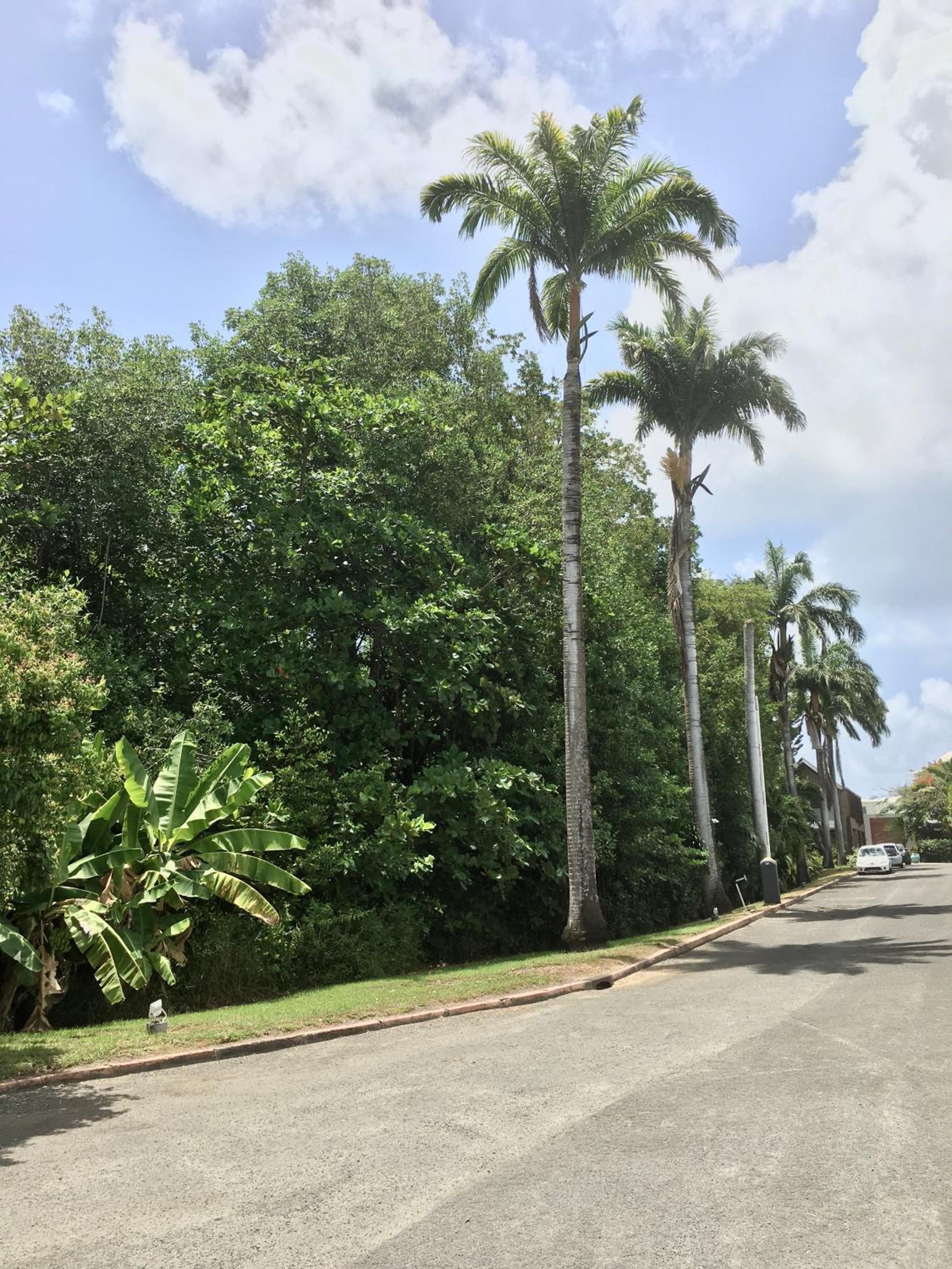 Appartement St François Manganao Guadeloupe view 2