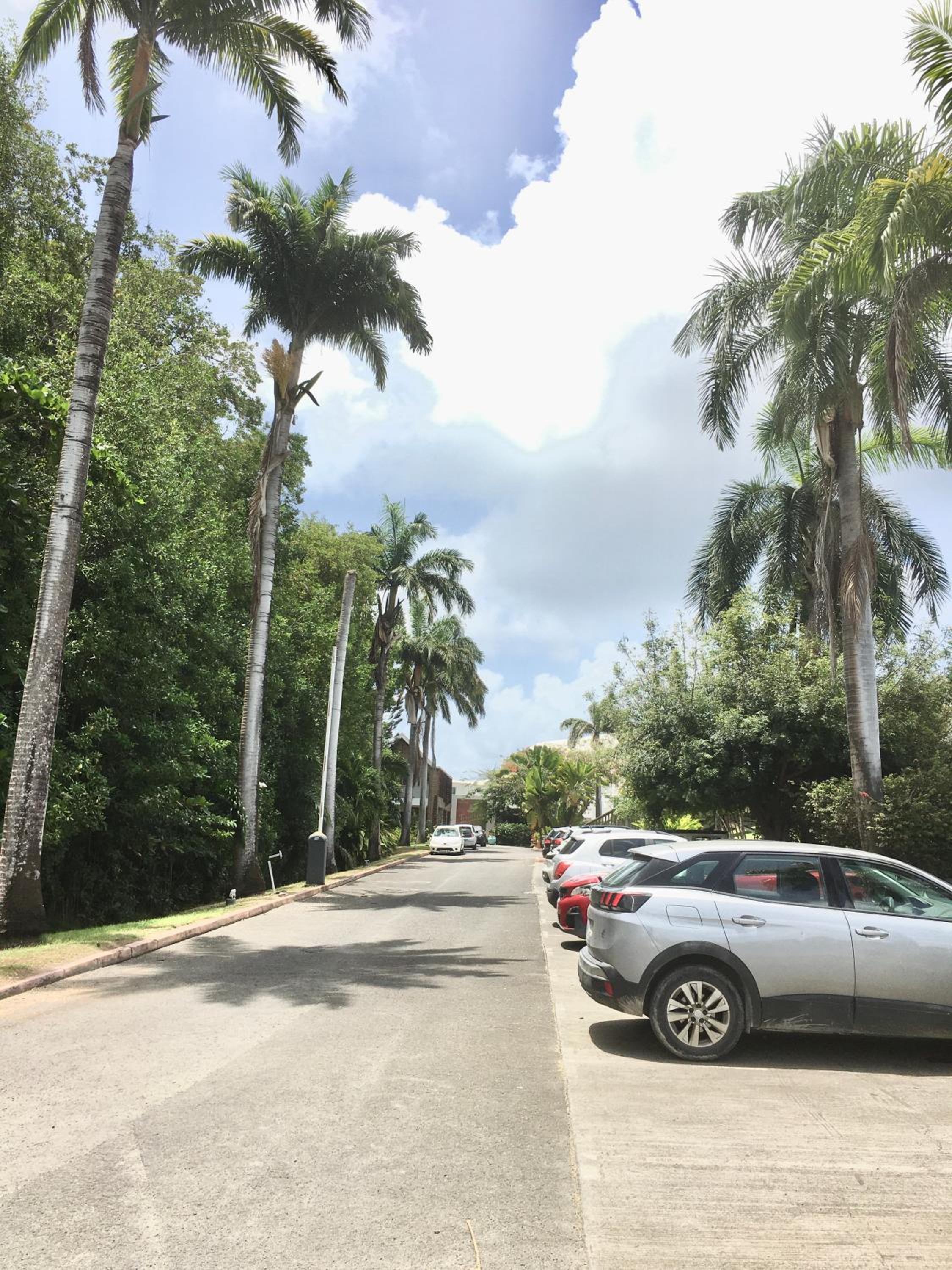 Appartement St François Manganao Guadeloupe view 3