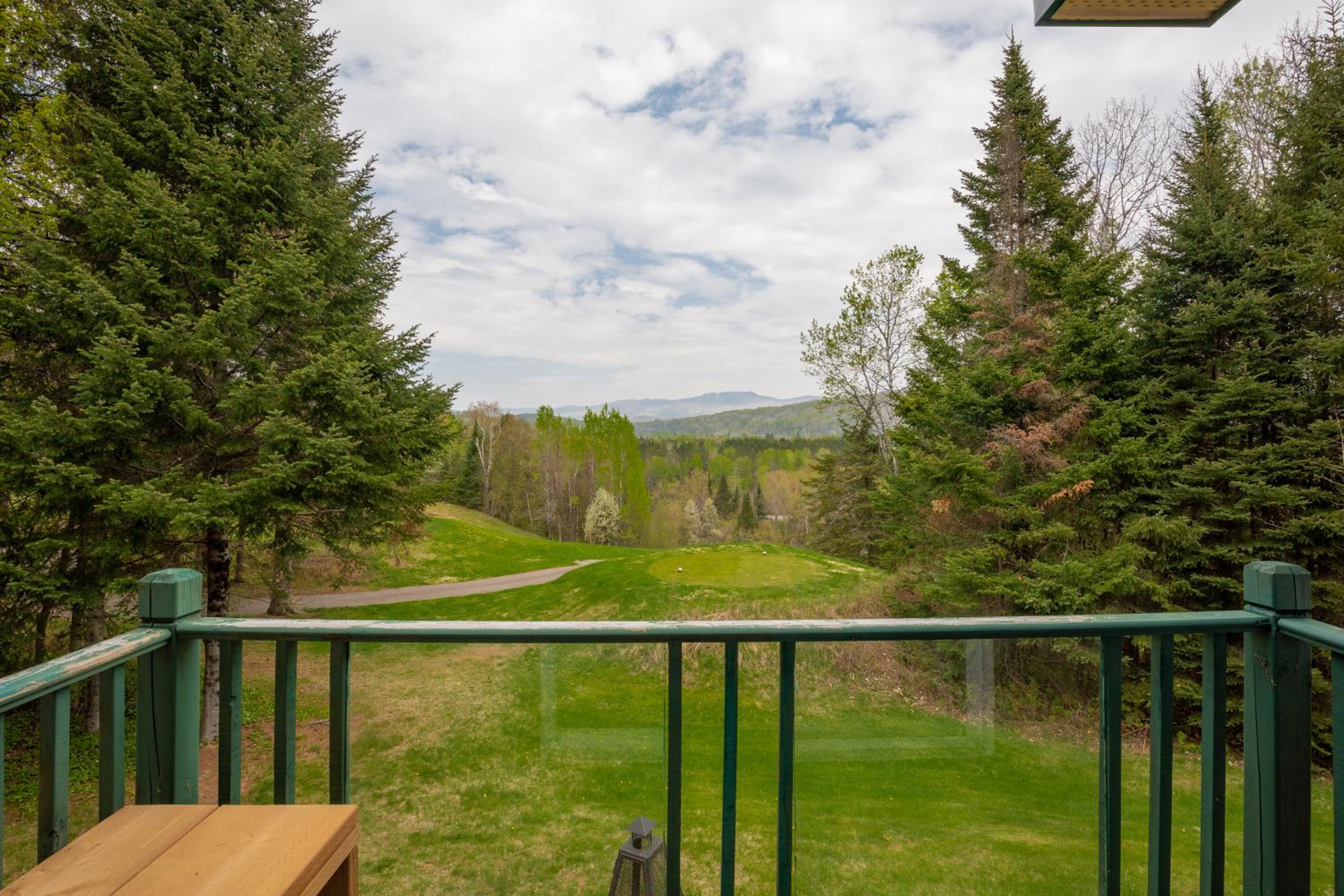 2-Level Home - Tremblant Mountain View - Fireplace