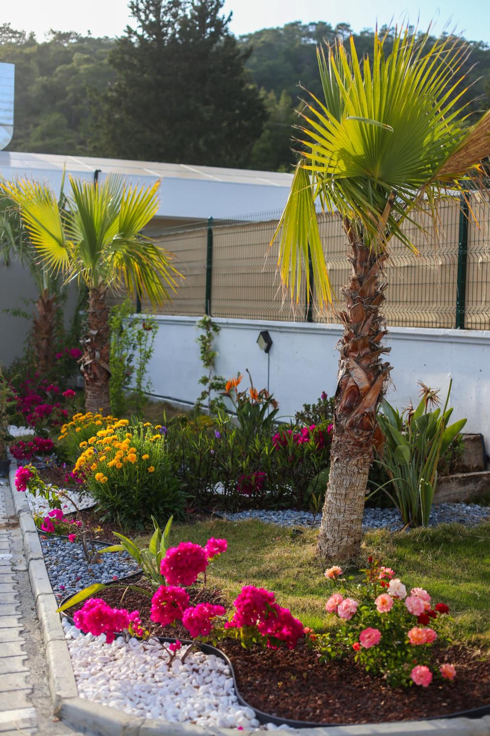 Talia Villaları - Image 34