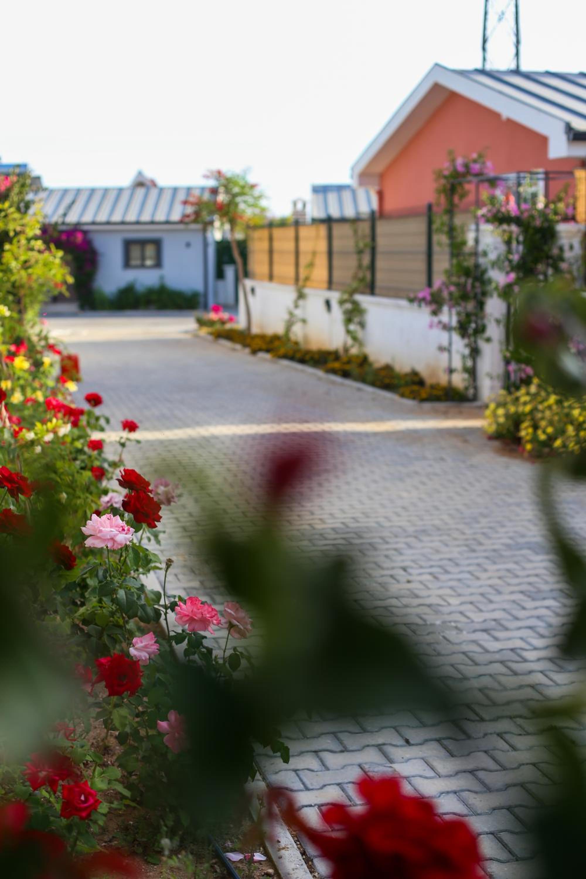 Talia Villaları - Image 37