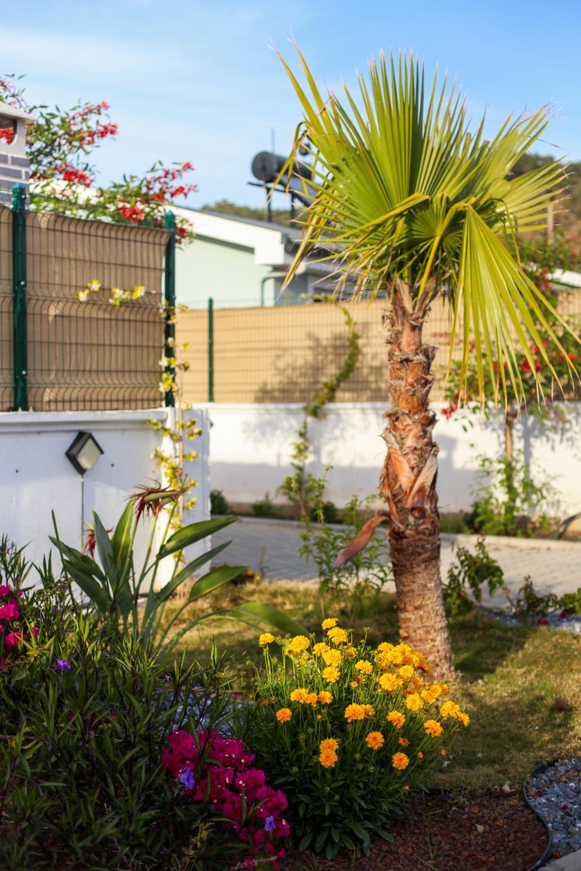 Talia Villaları - Image 33