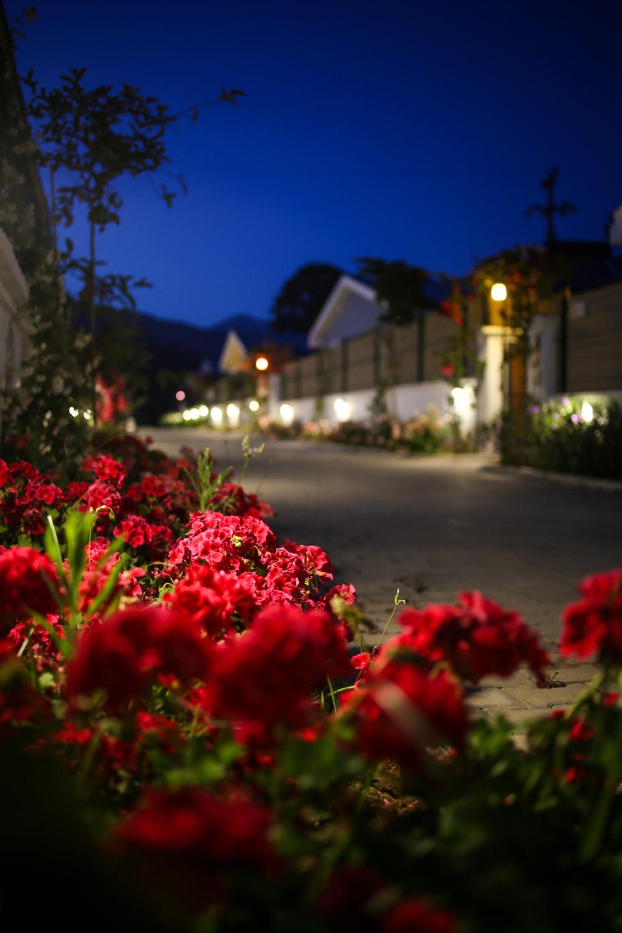 Talia Villaları - Image 39