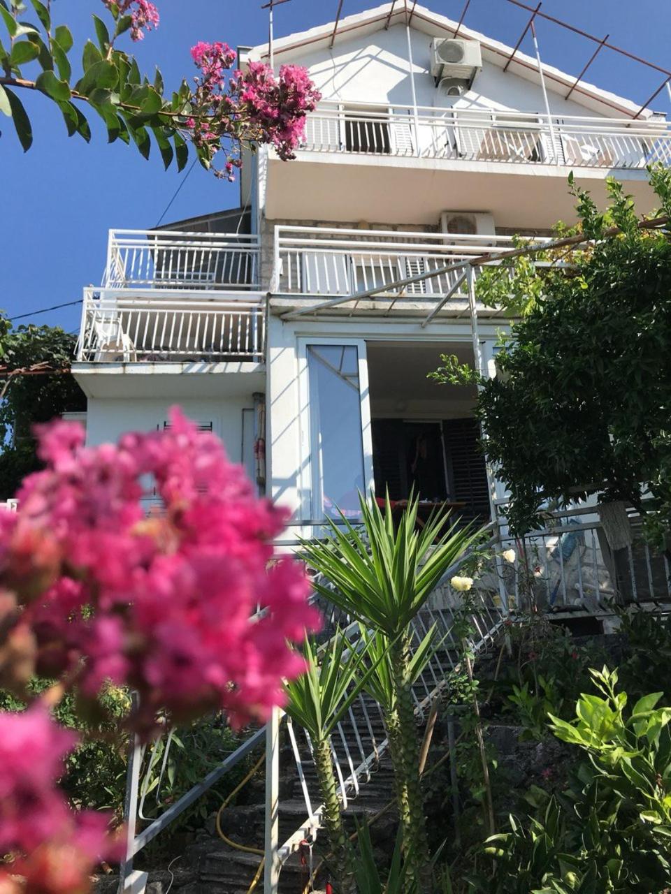 Magnificent View Apartment