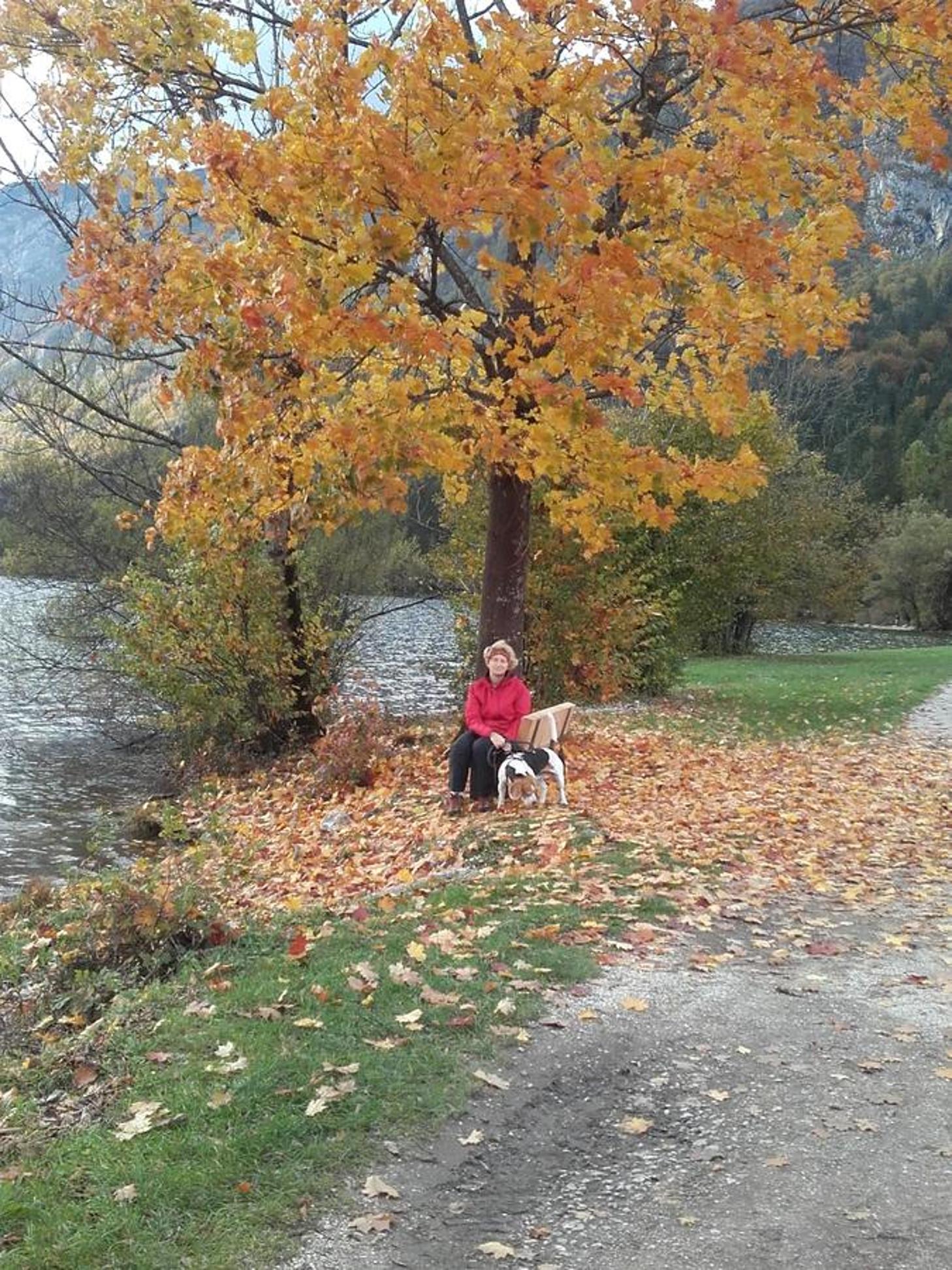 Photo 44
