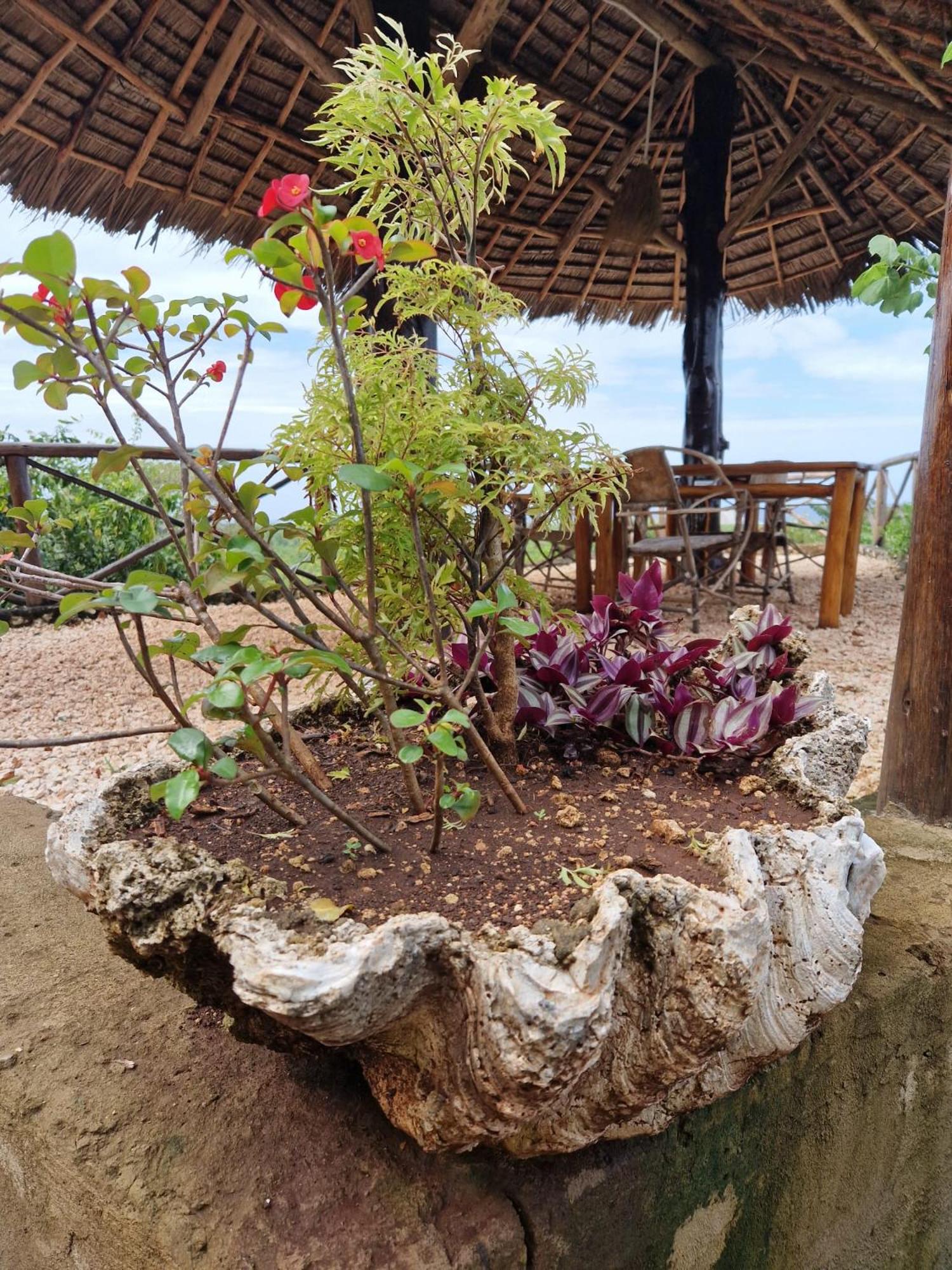 MONKEY MOUNTAIN LODGE