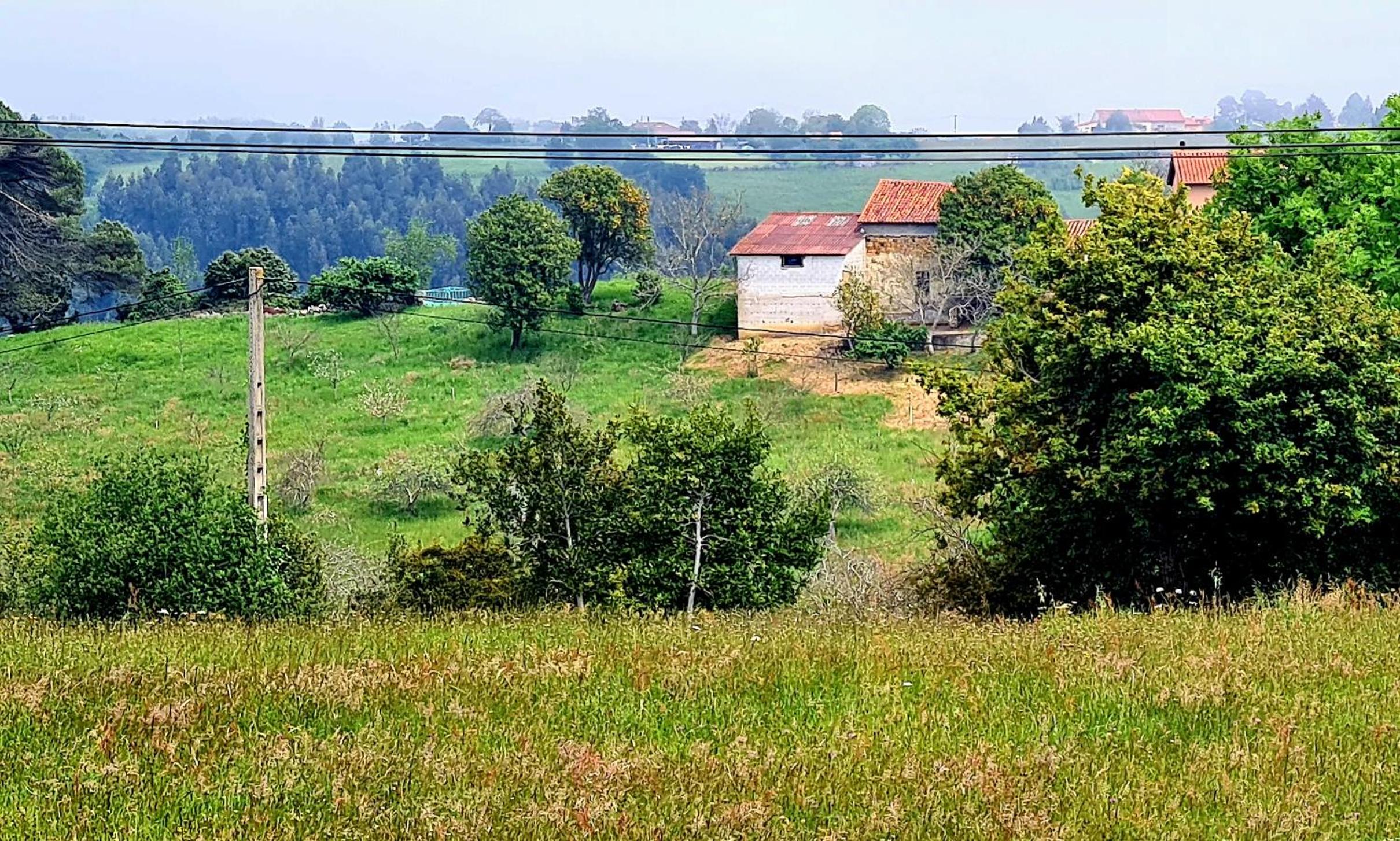 Villa El Tacín De Villaviciosa