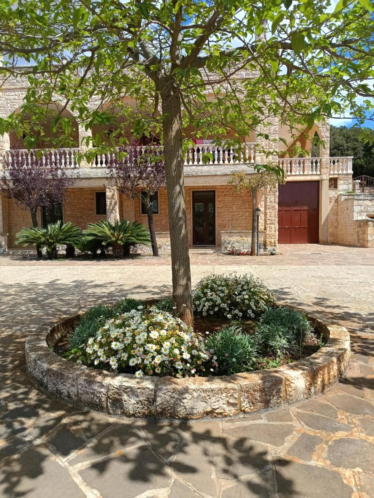 VILLA LISI
