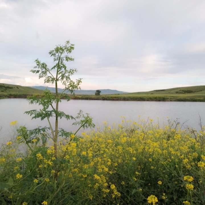 Green Lake Vashlovani