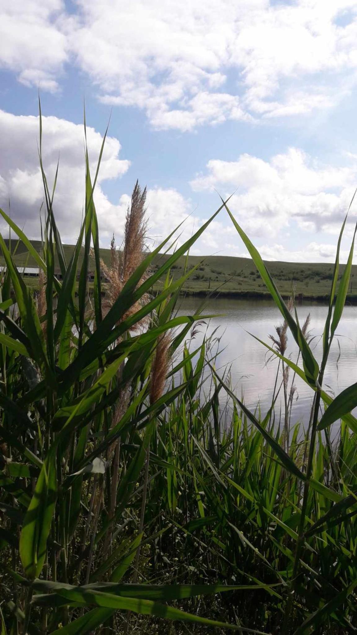 Green Lake Vashlovani