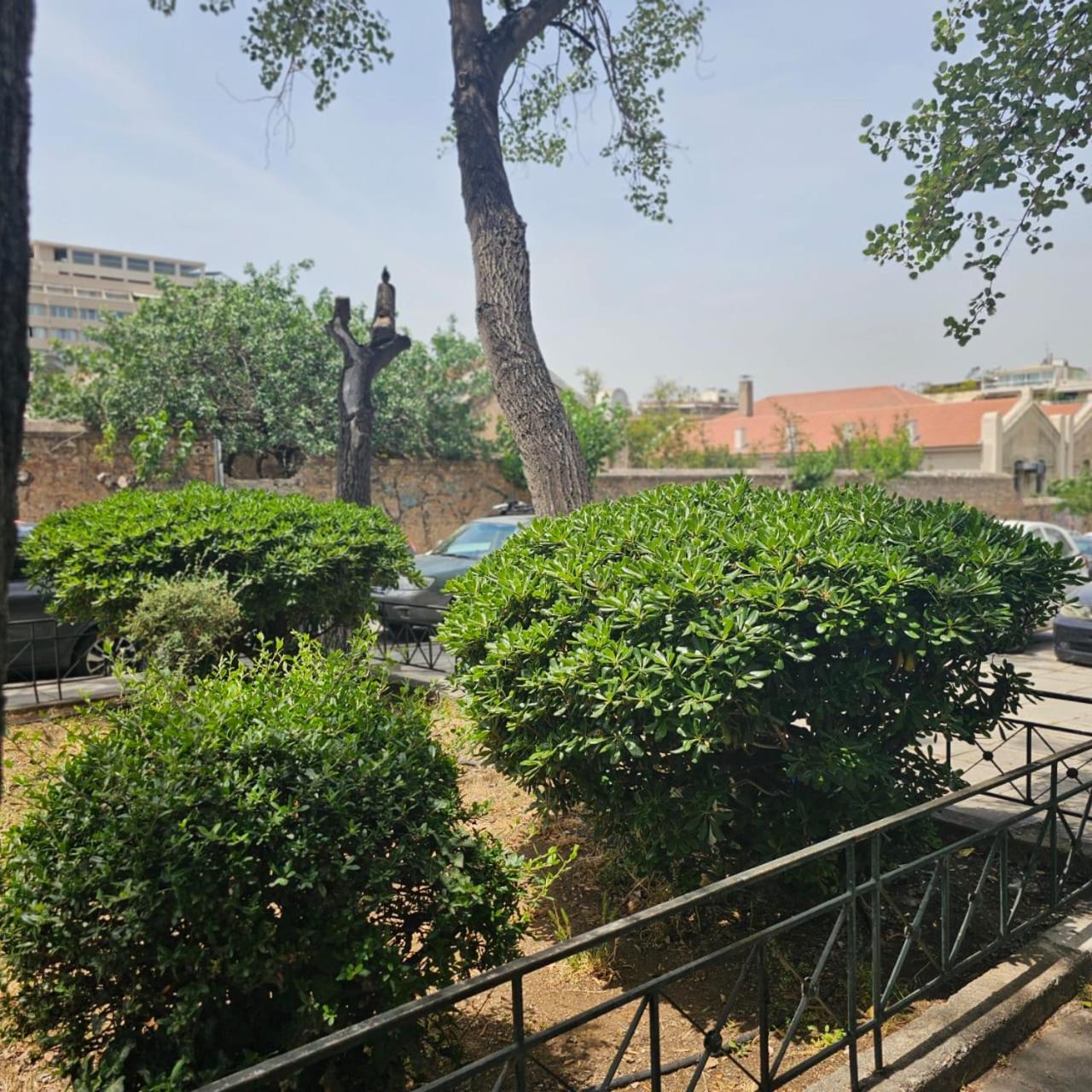 Diocharous garden apartment