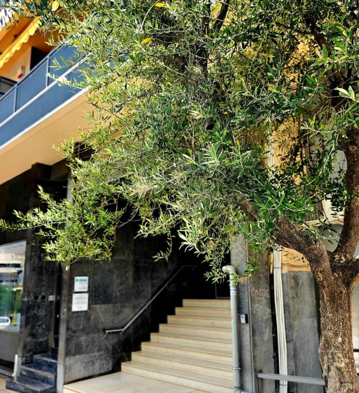 Diocharous garden apartment