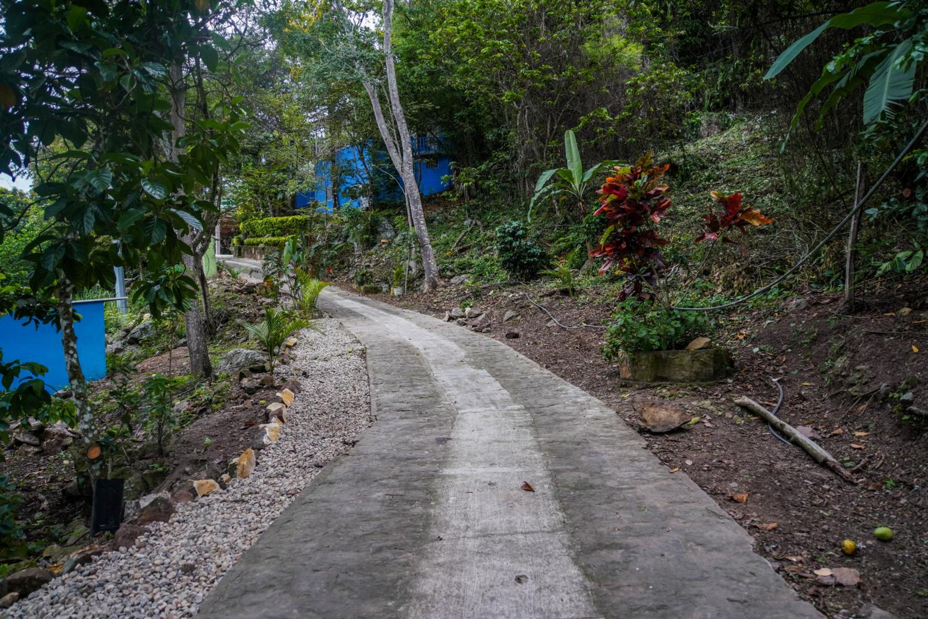Finca el Triunfo