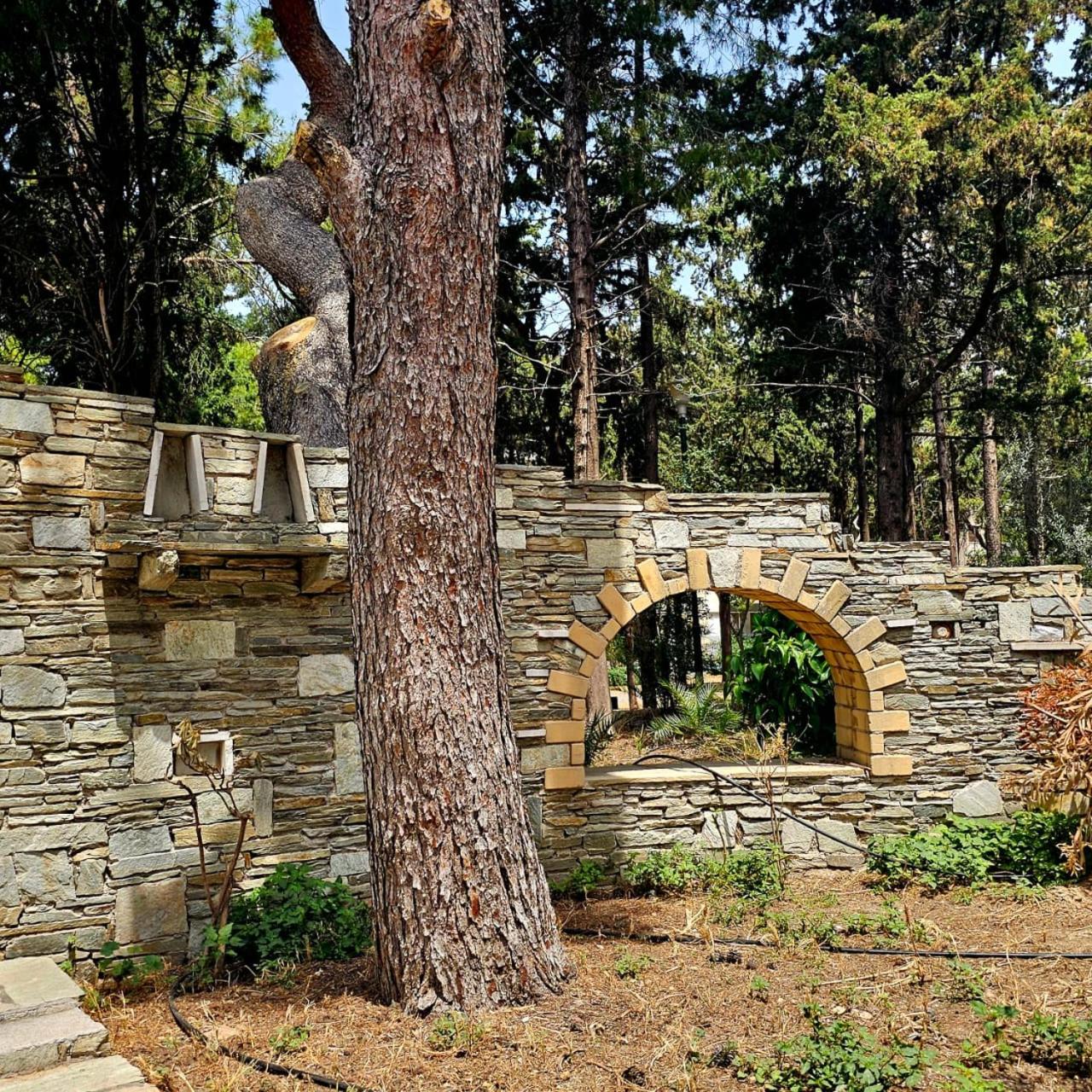 Diocharous garden apartment