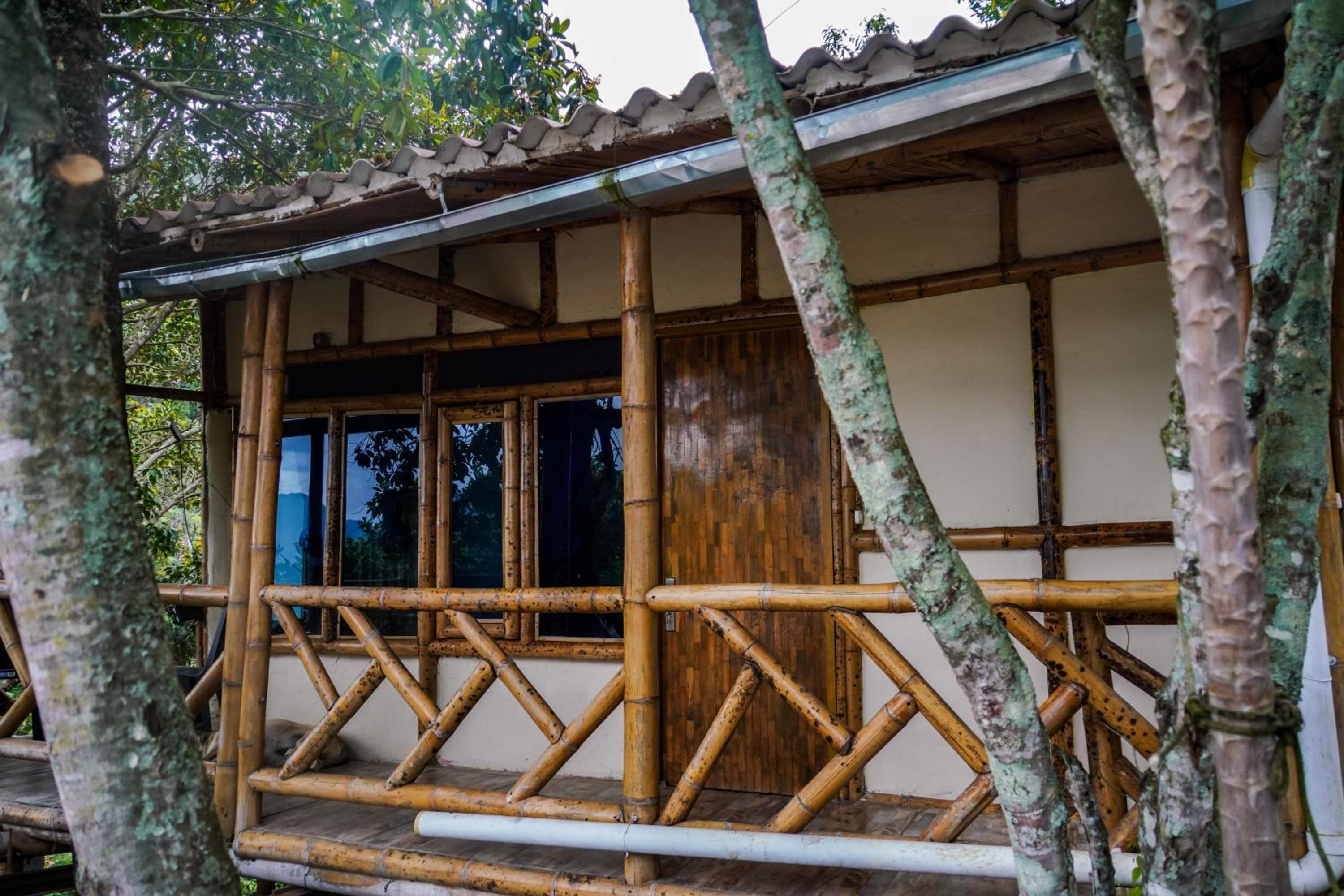 Finca el Triunfo
