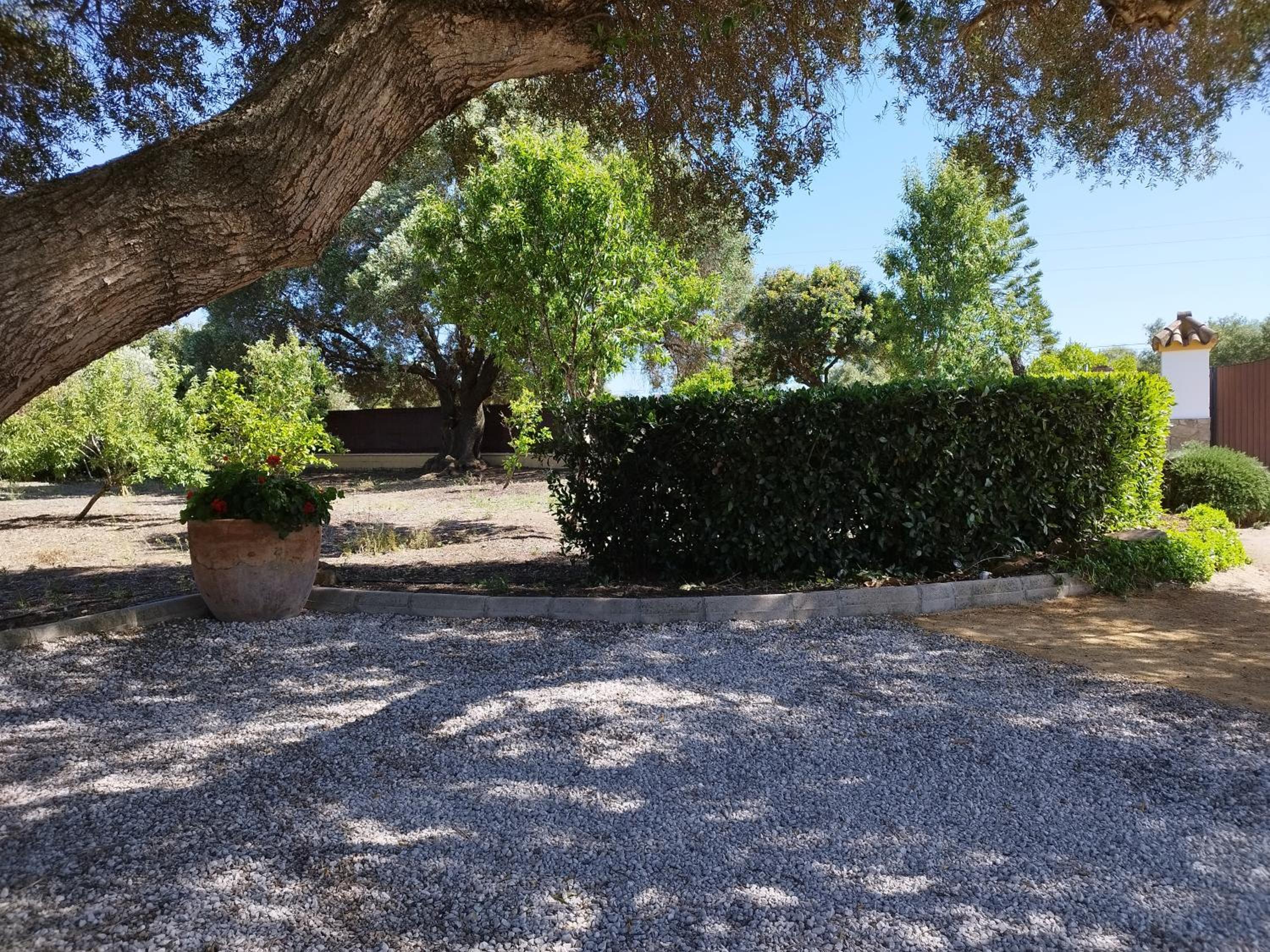 Vivienda Rural Los Madroños
