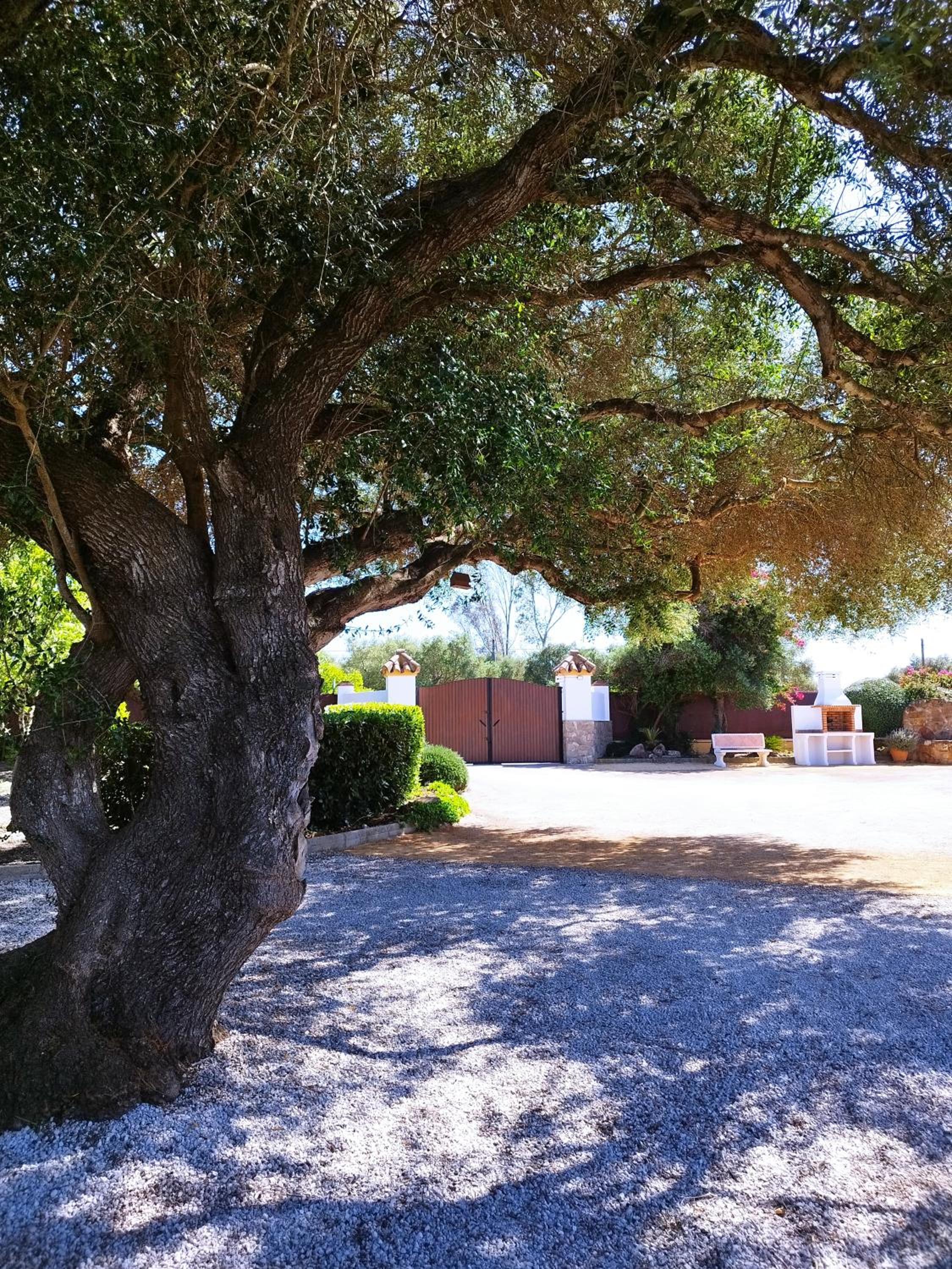 Vivienda Rural Los Madroños