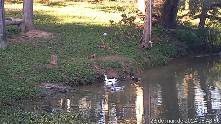Cabana de pesca e lazer Represa Usina Mafra sc
