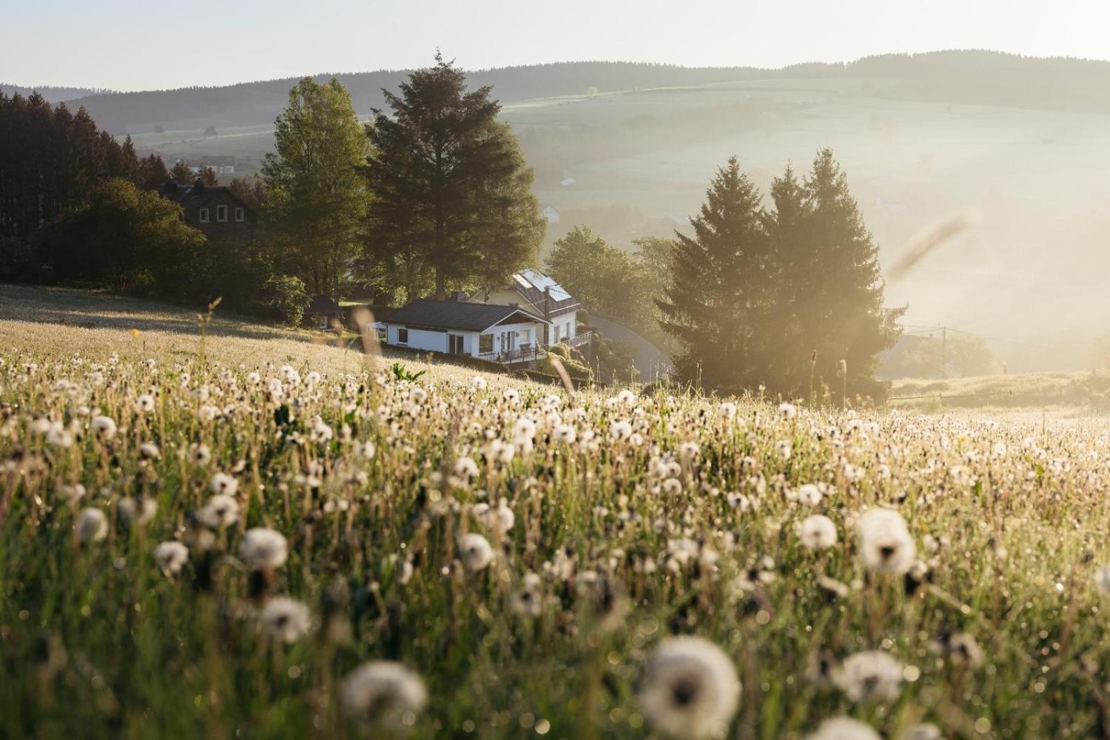 Chalet Panor'Anna