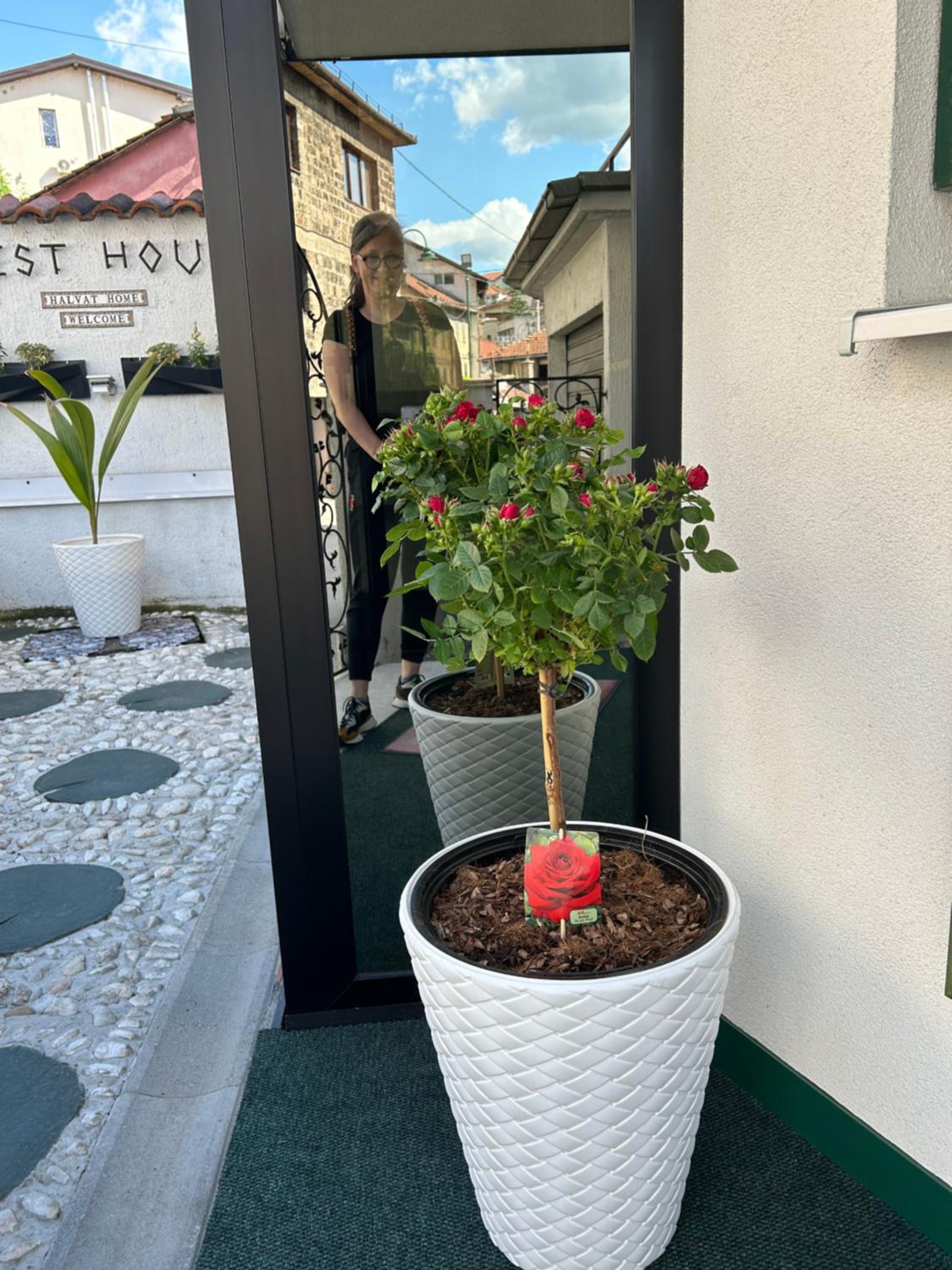 Halvat Guesthouse